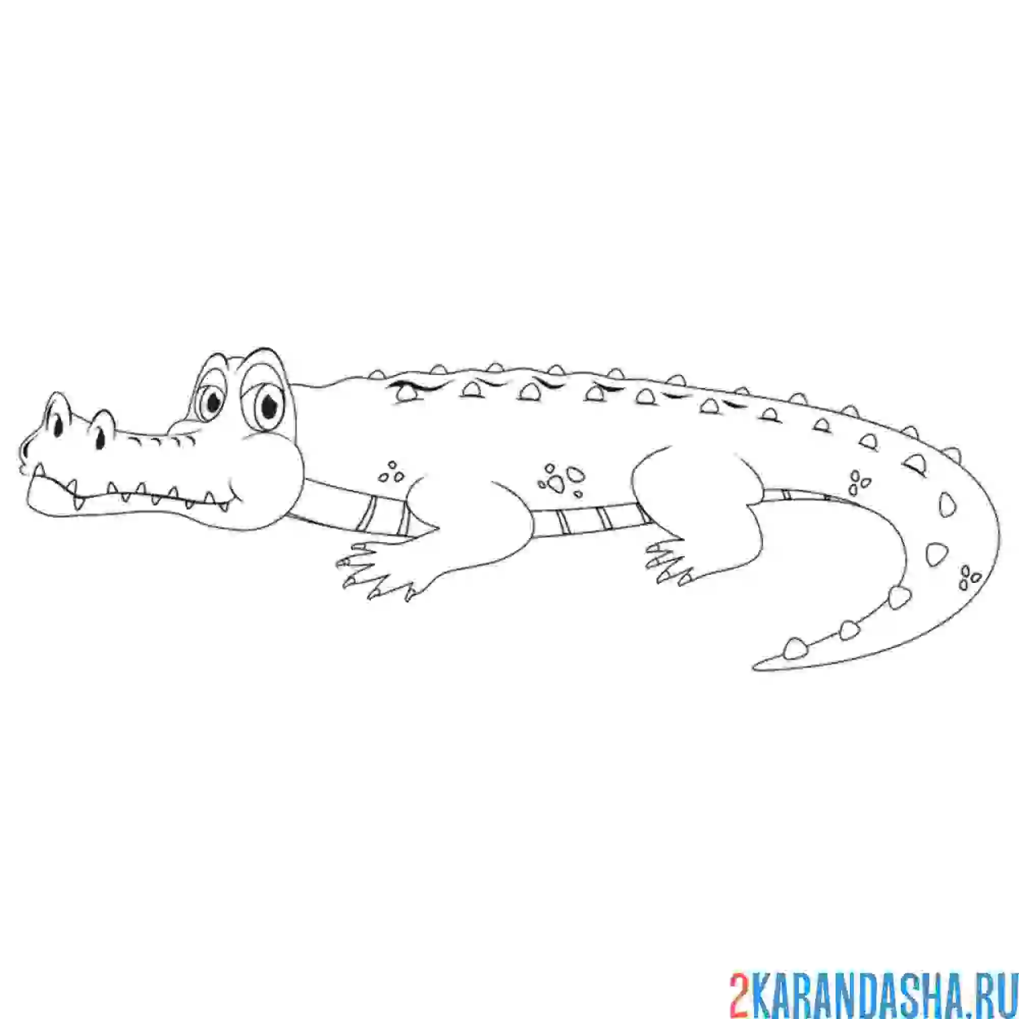 Раскраска крокодил на суше