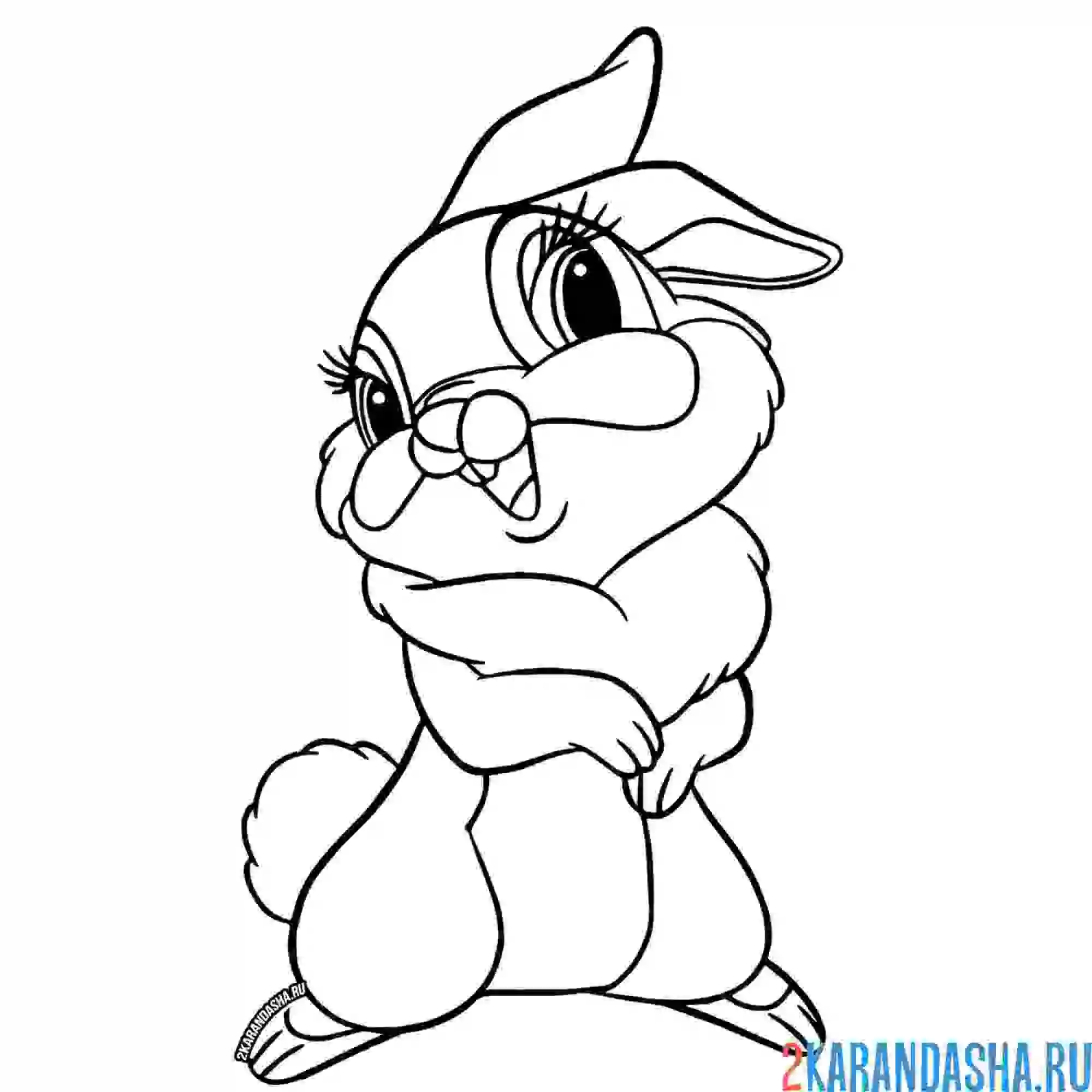 Раскраска прекрасная крольчиха