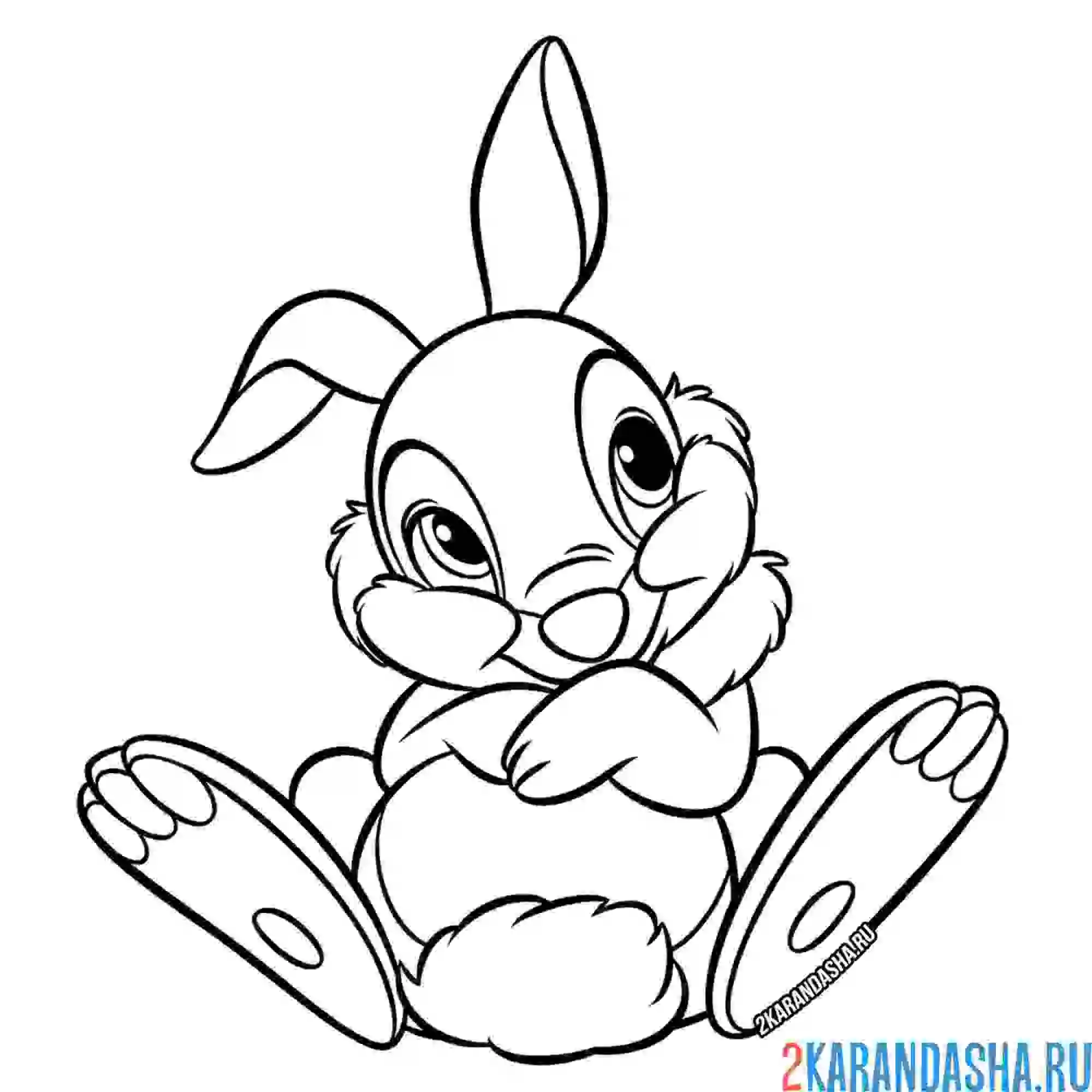 Раскраска кролик лежит