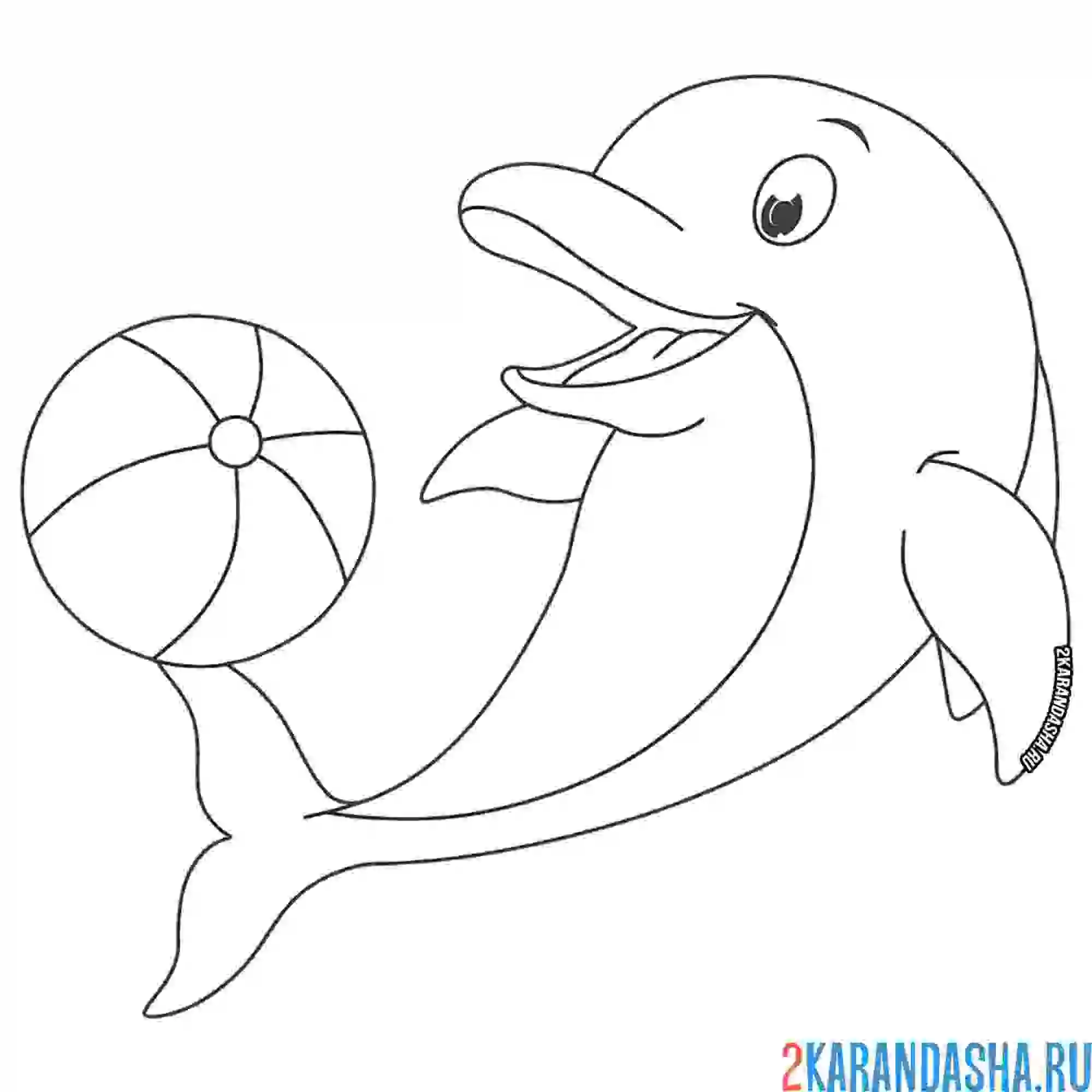 Раскраска довольный играет с мячом дельфин