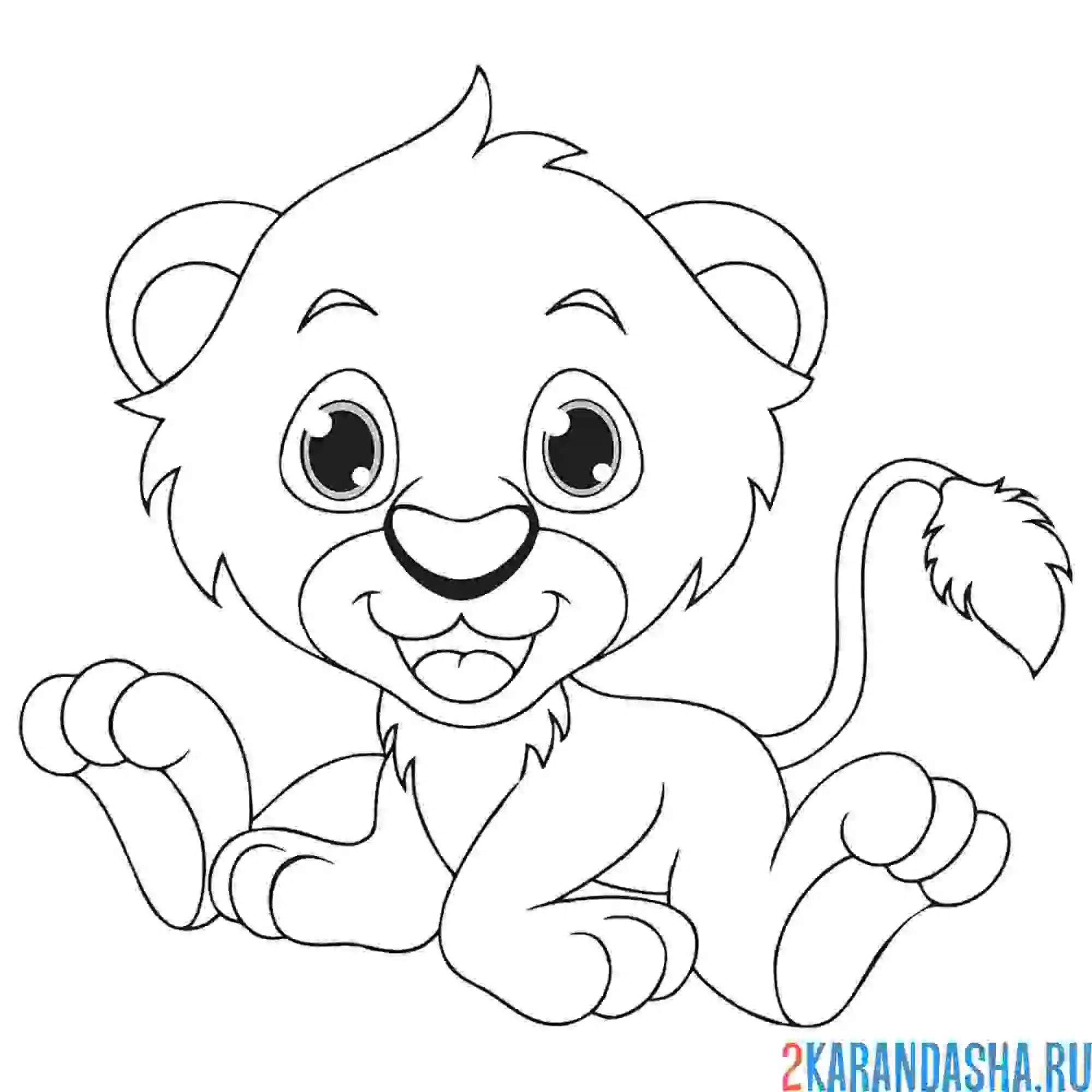 Раскраска маленький львенок