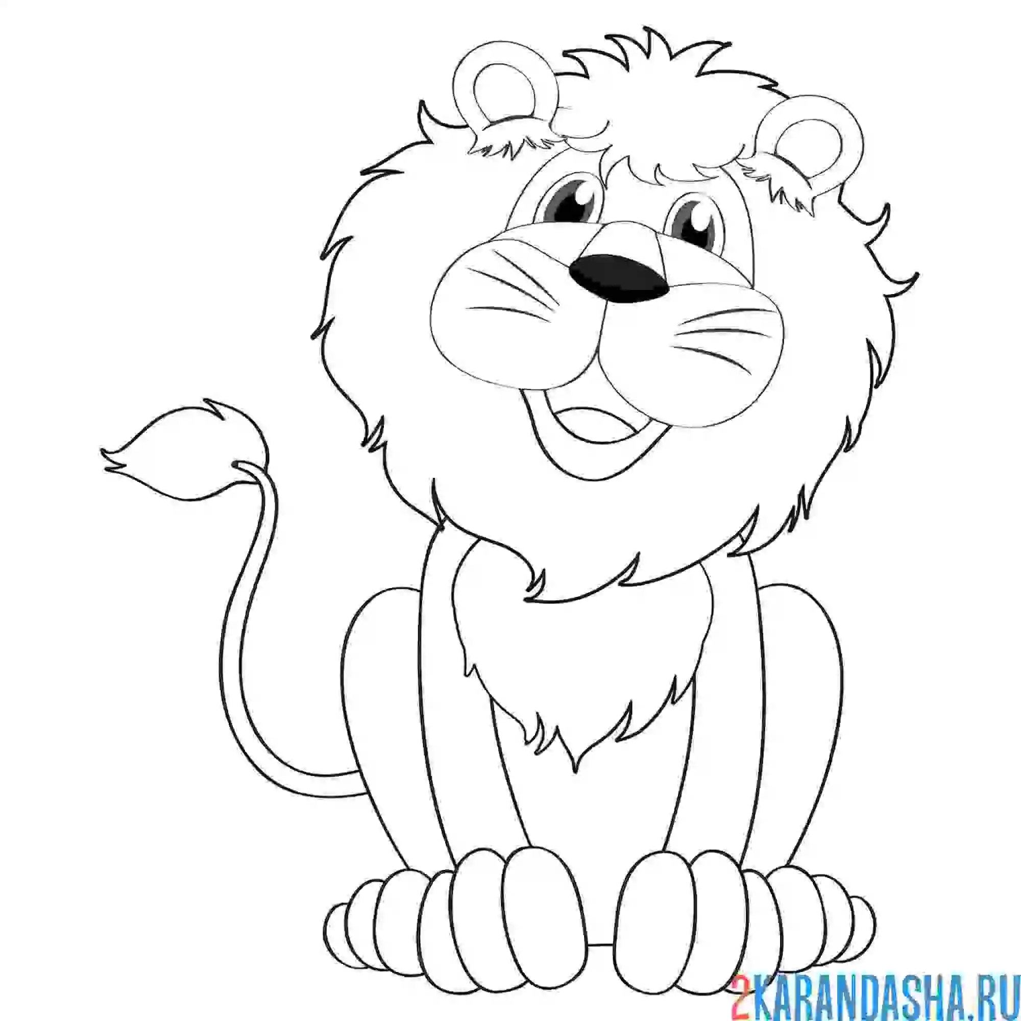 Раскраска взрослый лев
