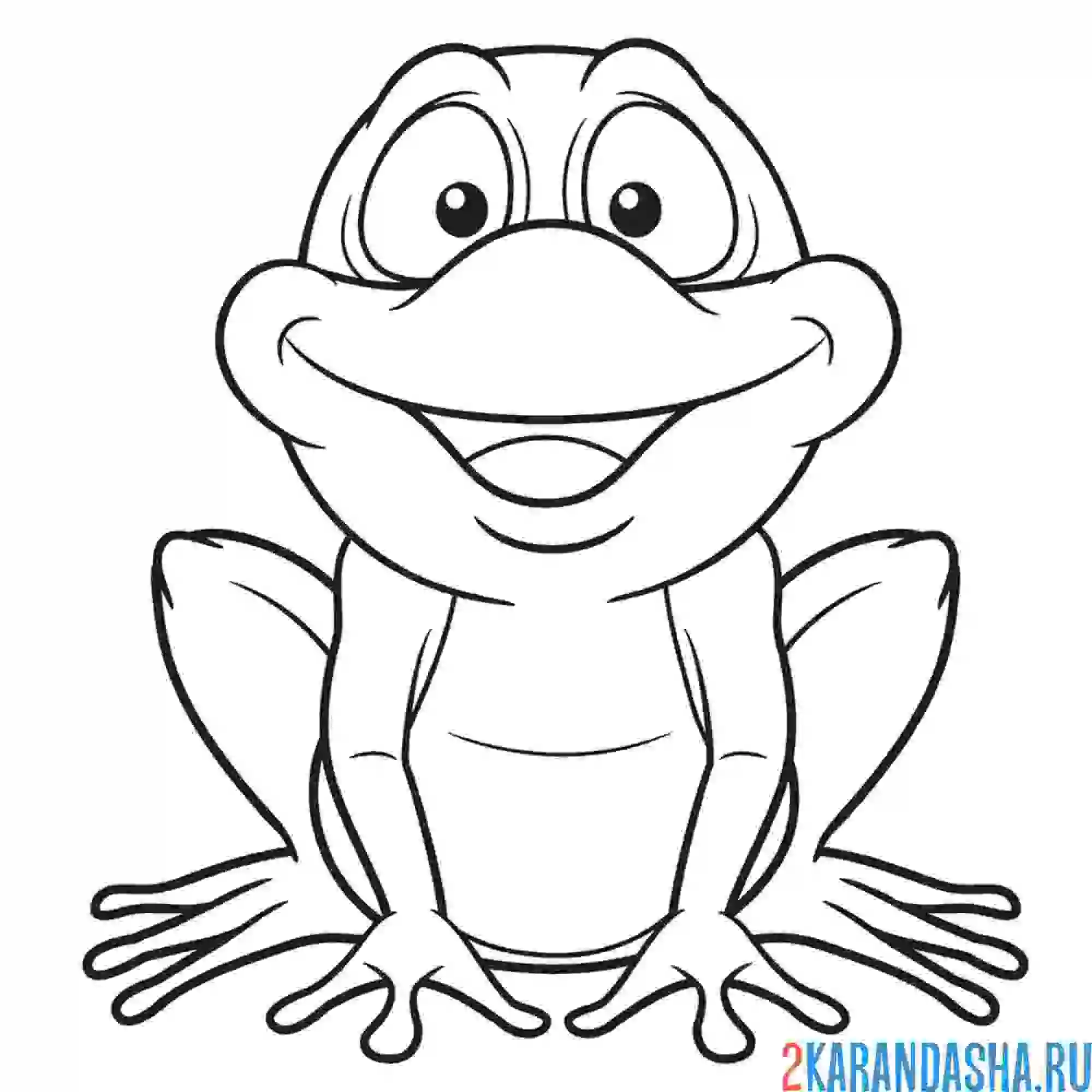 Раскраска красивый лягушонок