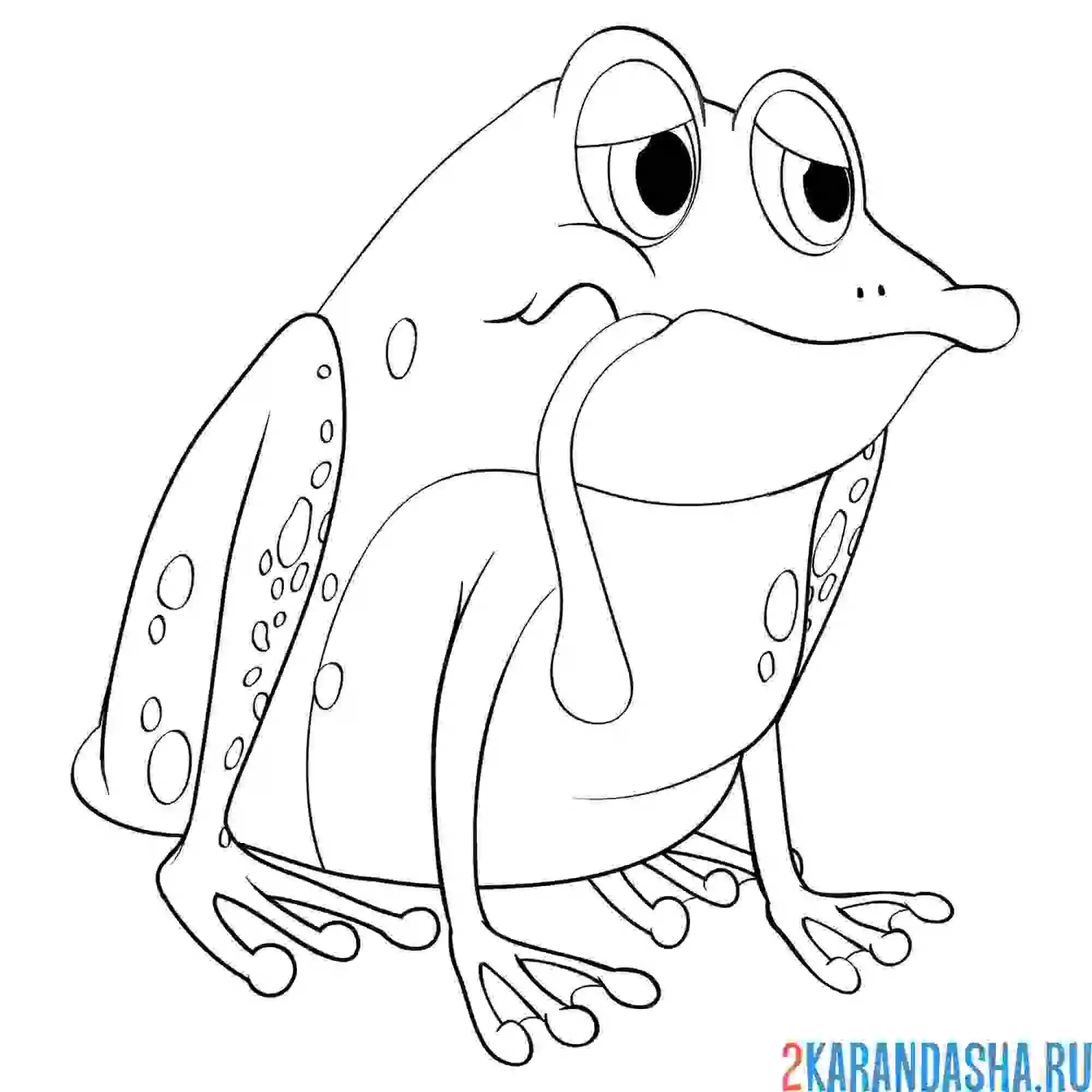 Раскраска лягушка грустит