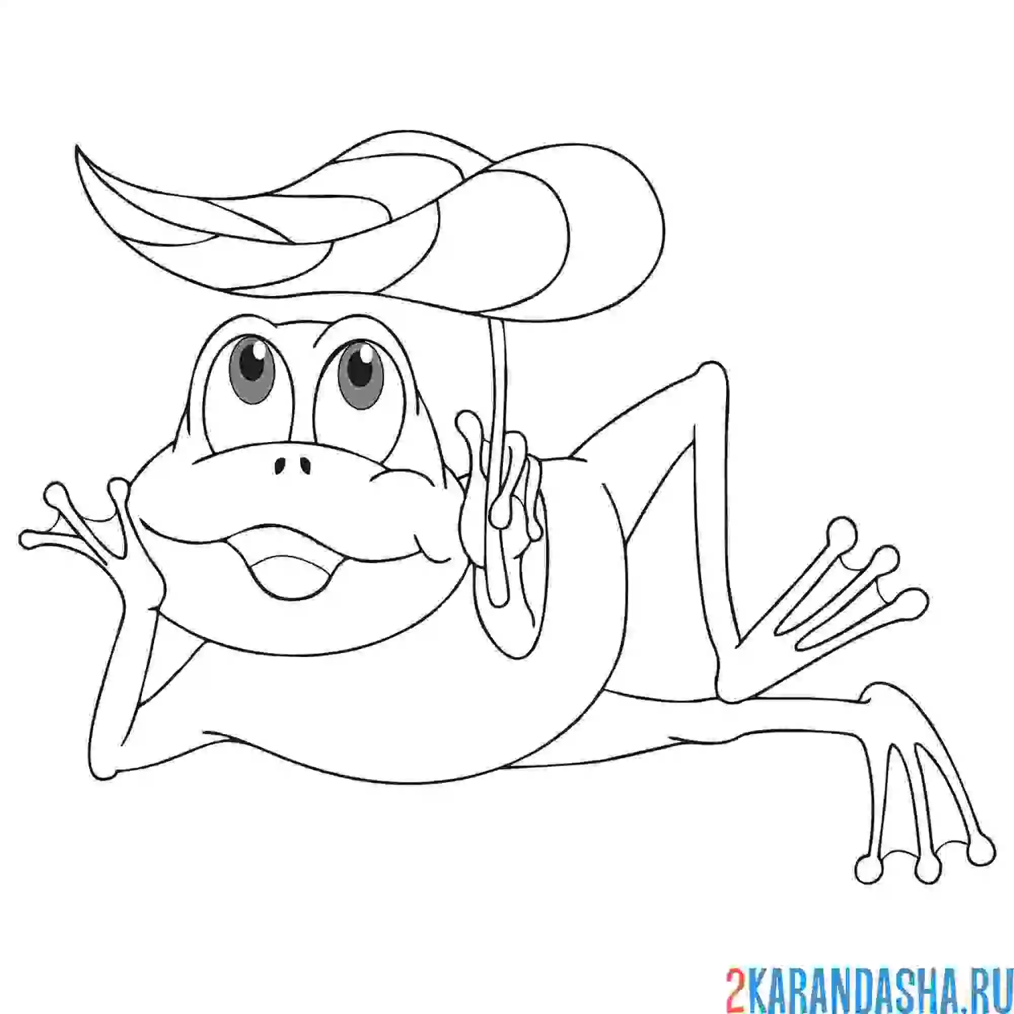 Раскраска лягушонок отдыхает под кувшинкой