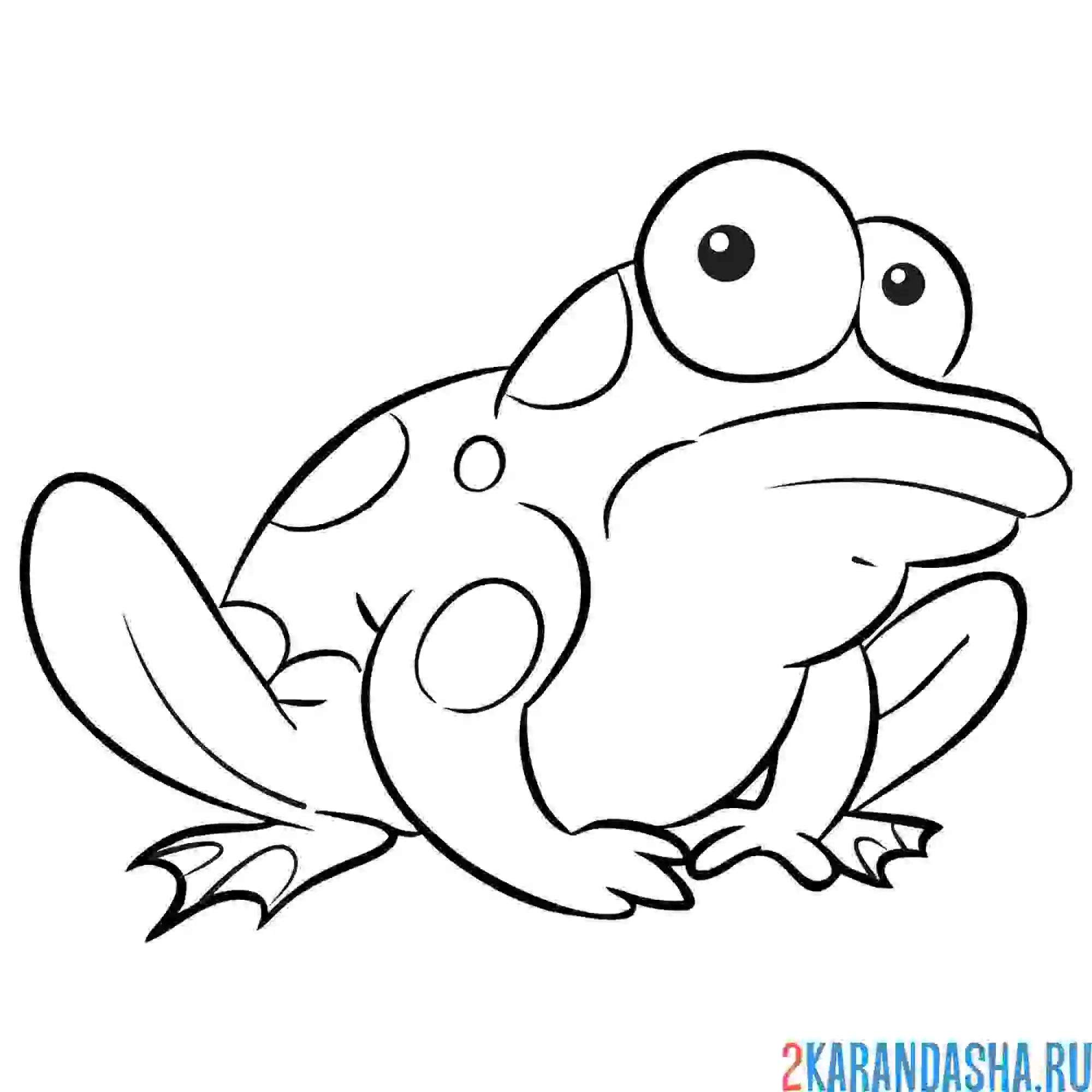 Раскраска настороженный лягушонок