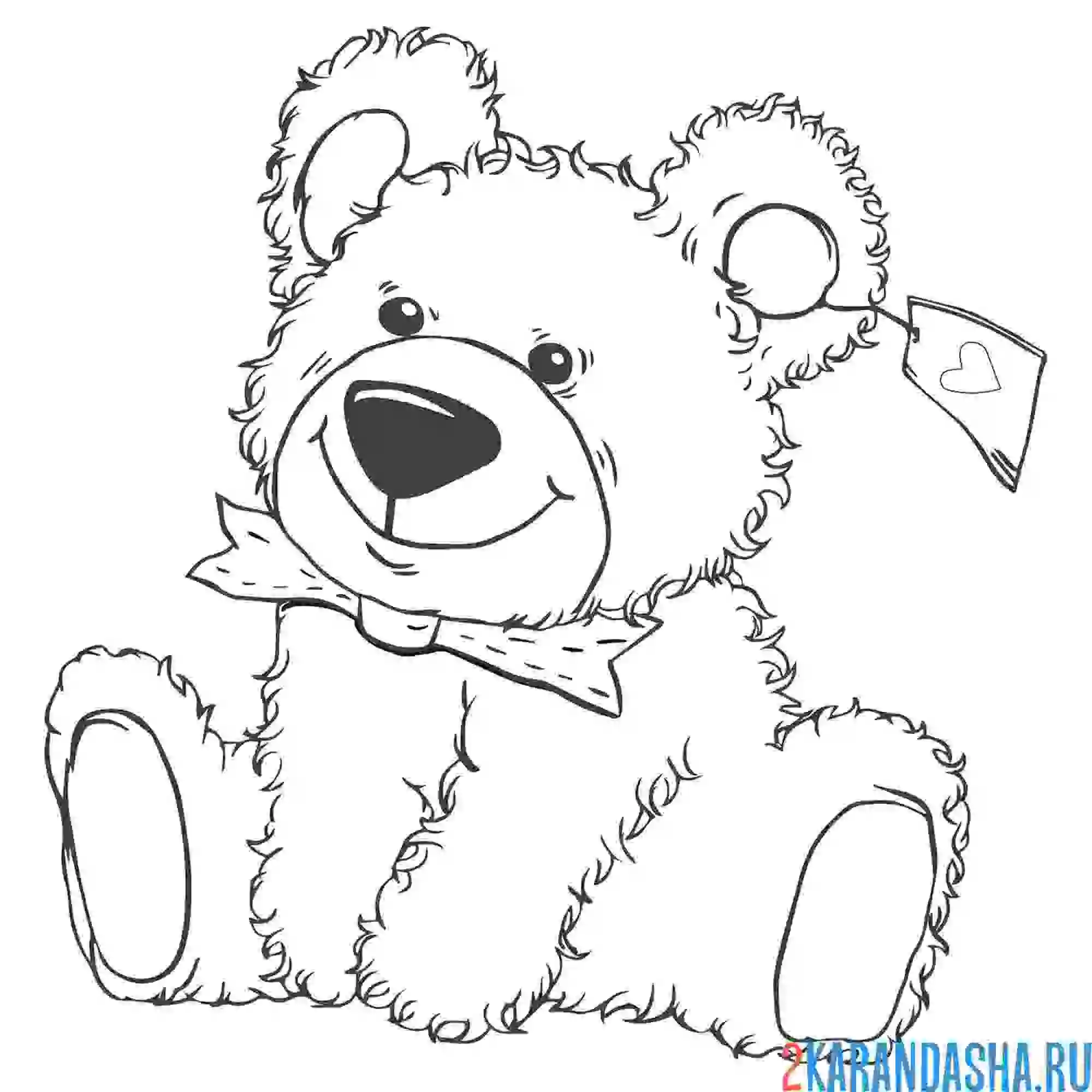 Раскраска игрушка плюшевый мишка