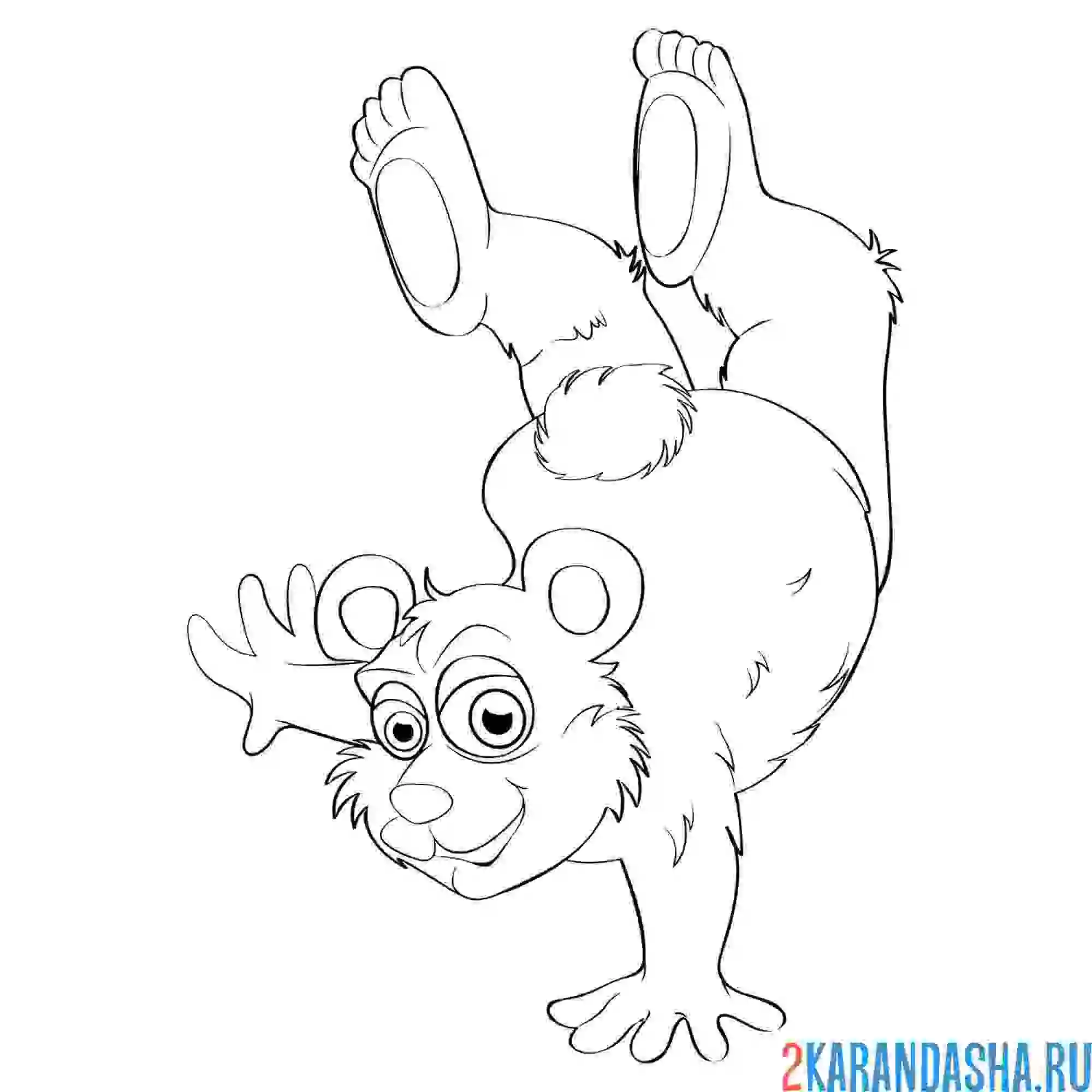 Раскраска медведь трюкач