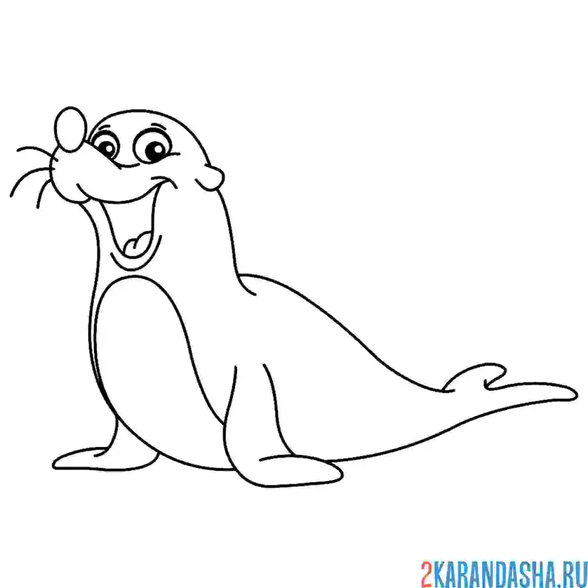 Раскраска веселый морской котик