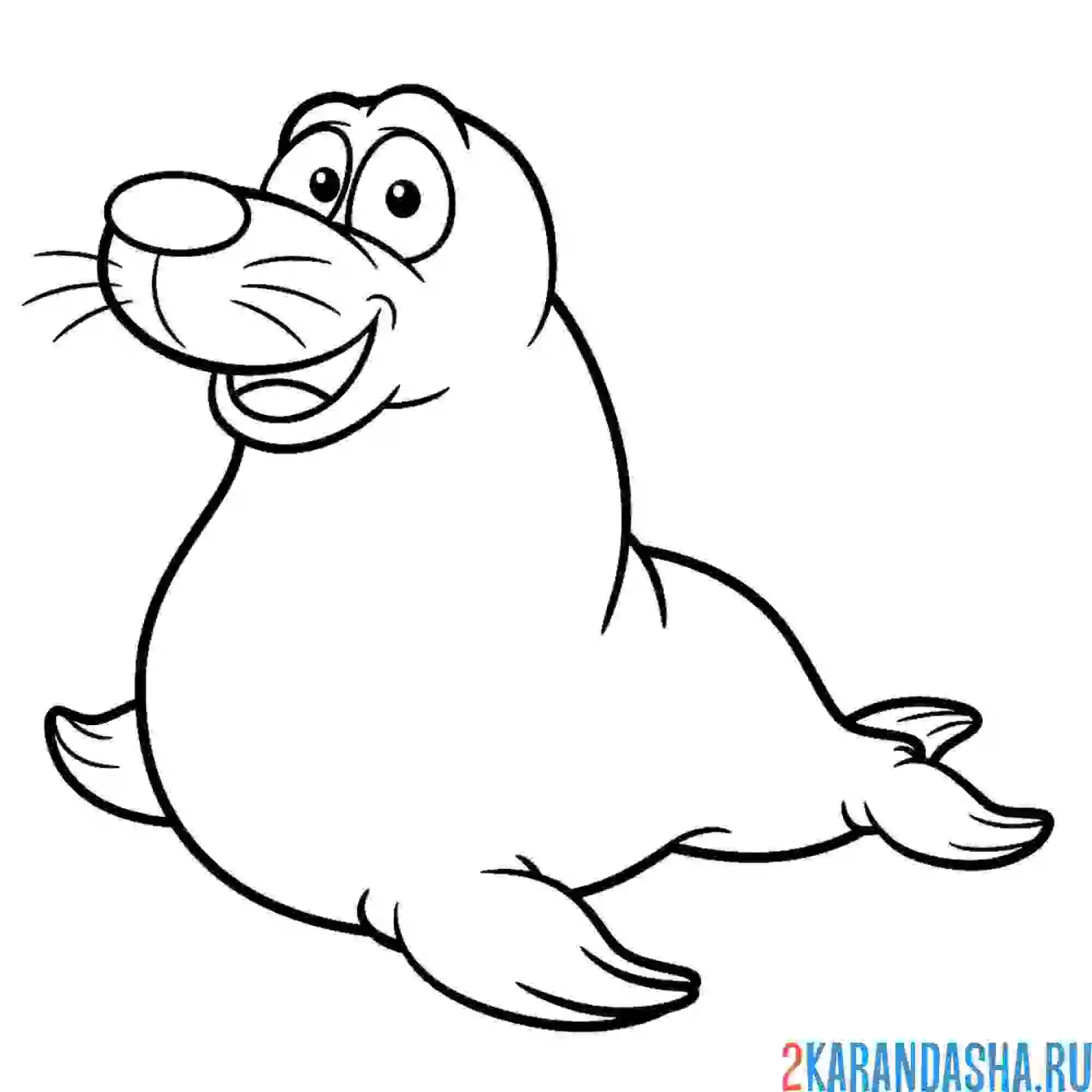 Раскраска жирненький тюлень