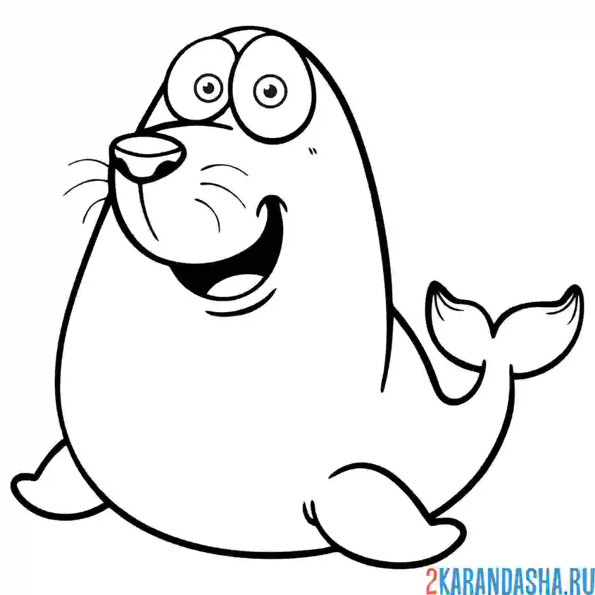 Раскраска милый тюлень