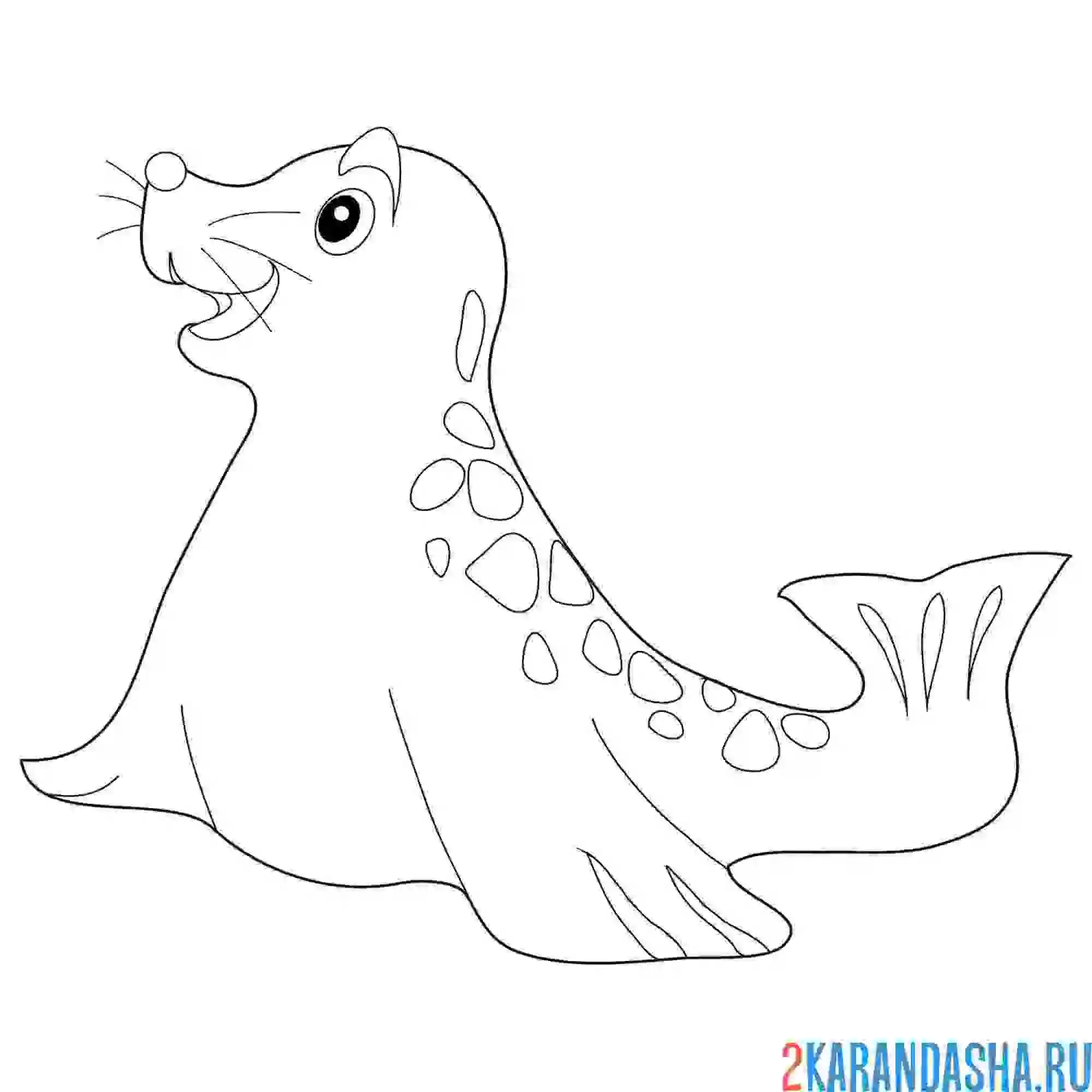 Раскраска хорошенький морской котик