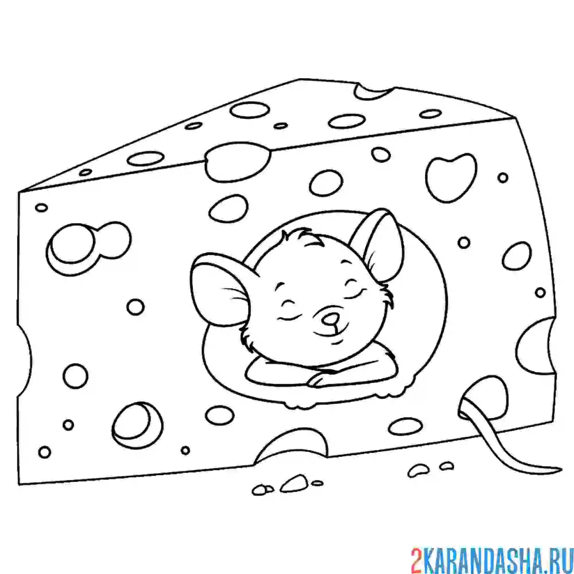 Раскраска серая мышка в сыре