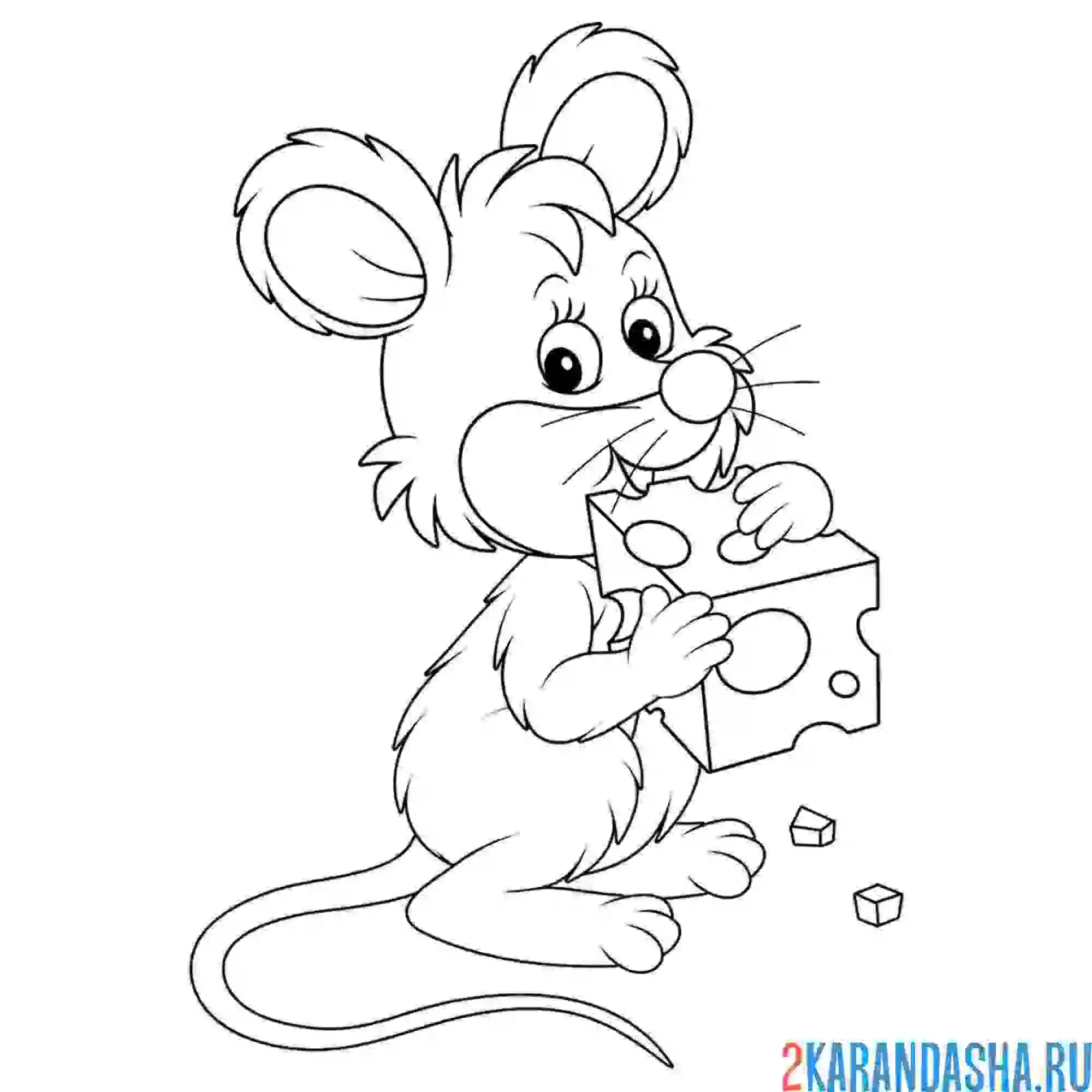 Раскраска милый мышонок