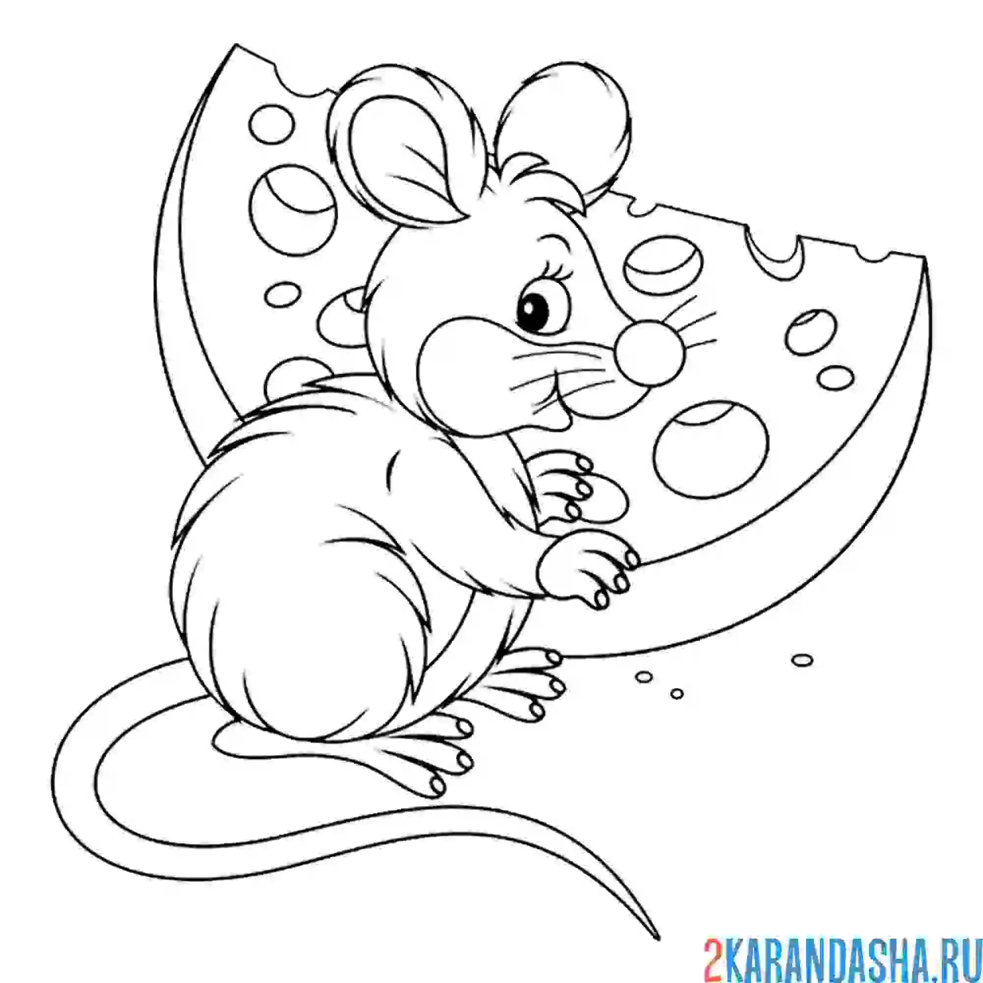 Раскраска милая мышка