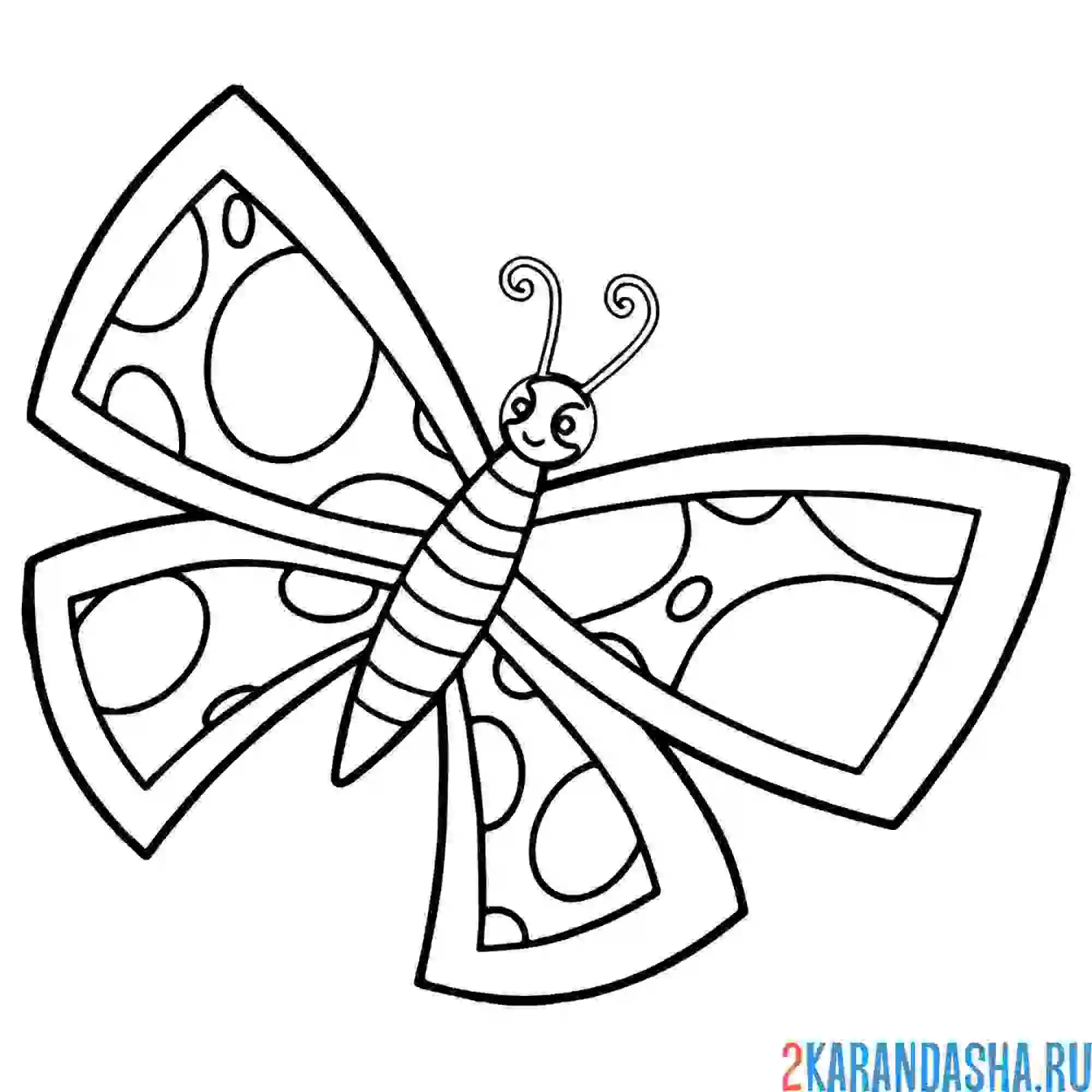 Раскраска бабочка для детей