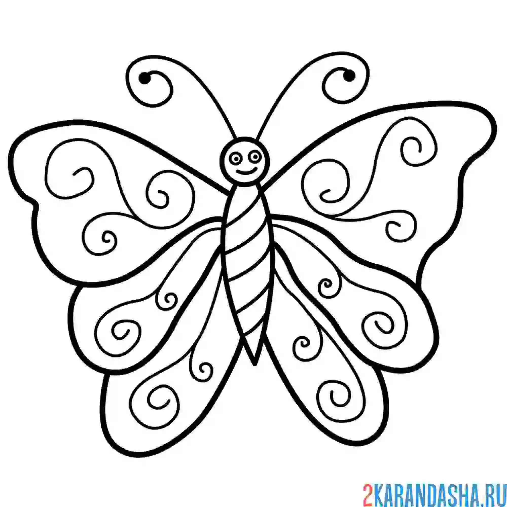 Раскраска бабочка с рисунком на крыльях