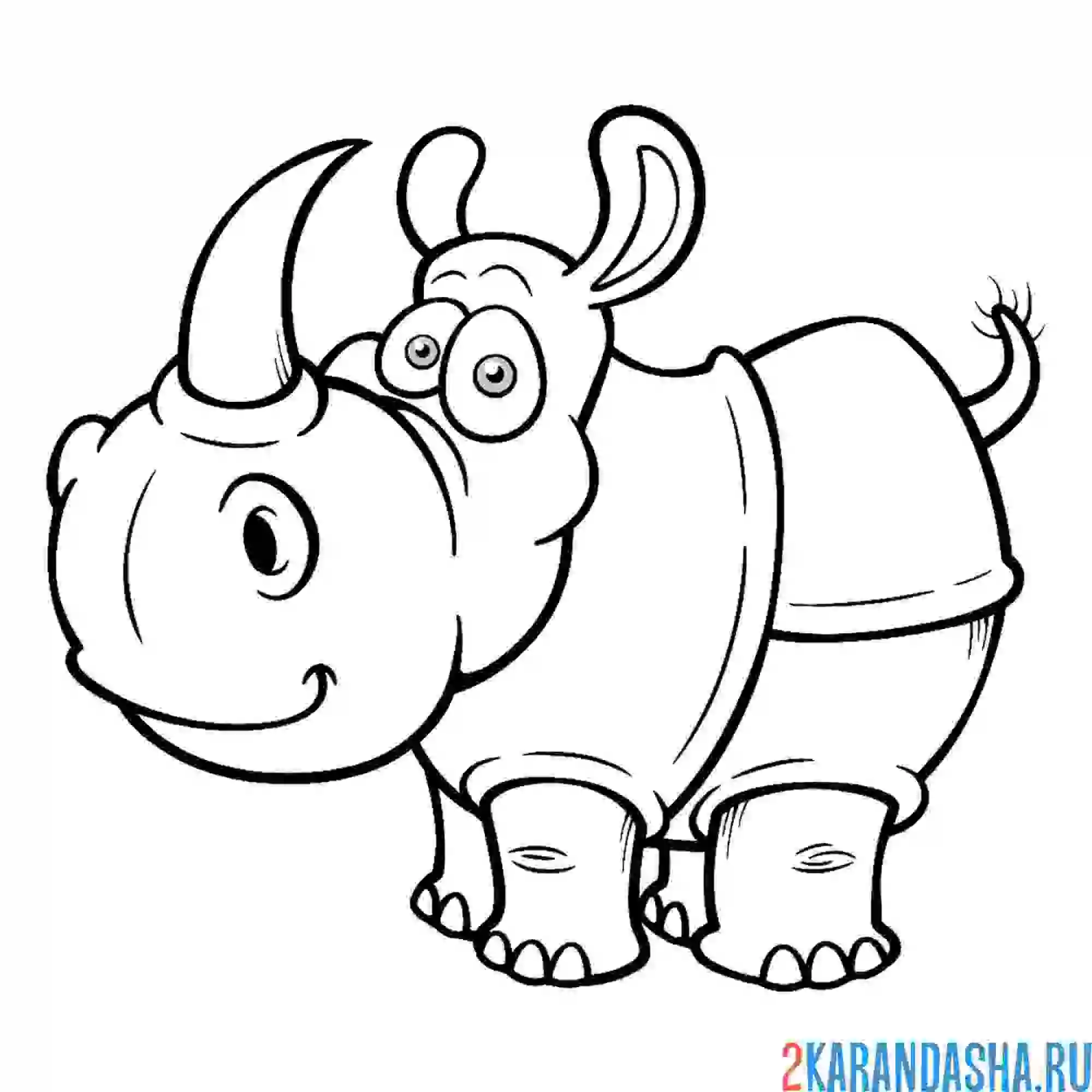 Раскраска носорог