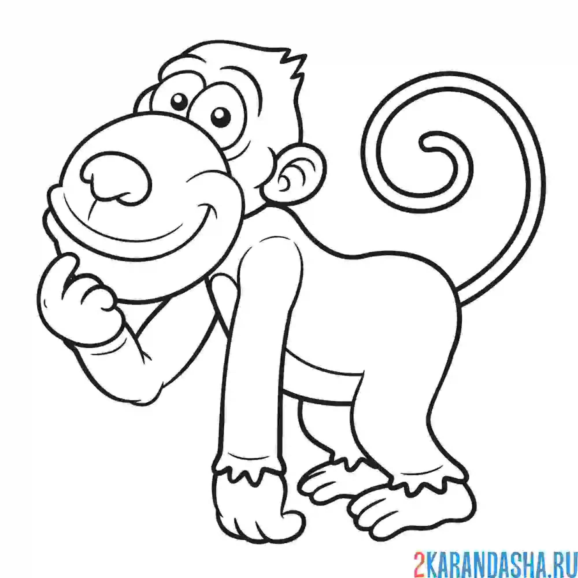 Раскраска смешная обезьянка