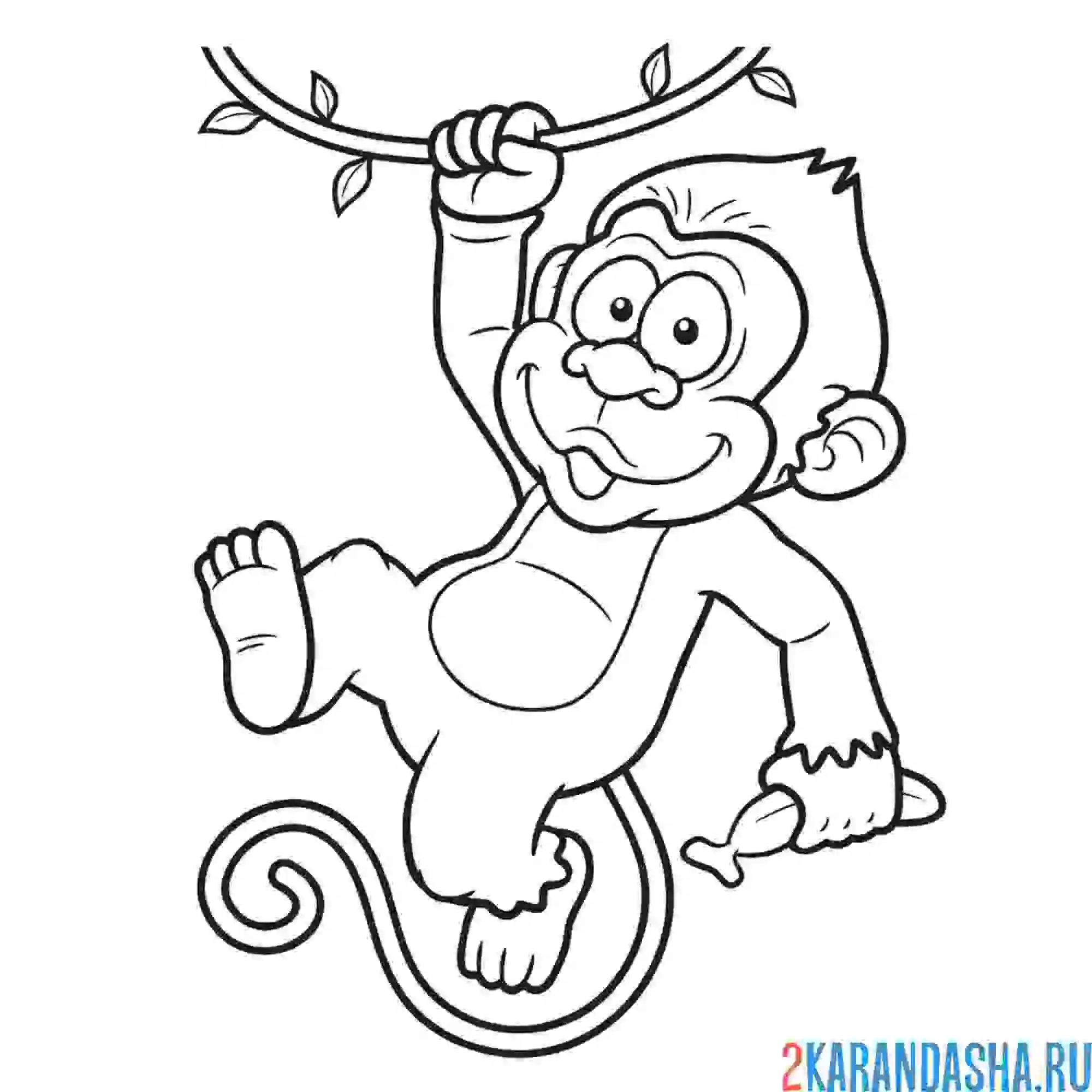 Раскраска обезьянка на лиане