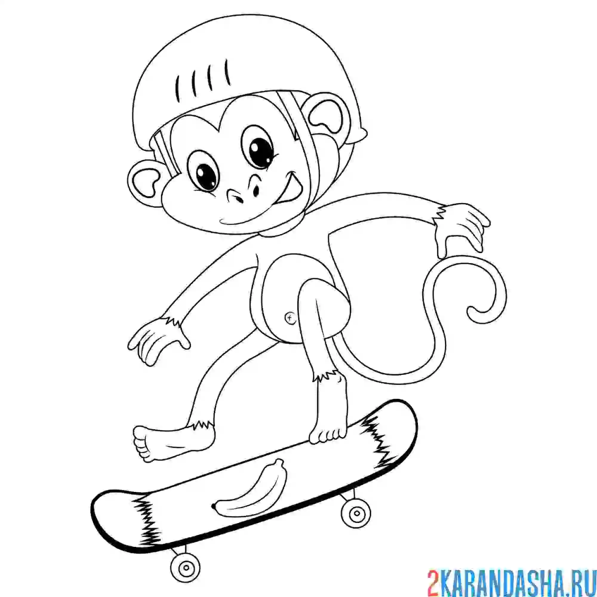 Раскраска обезьяна на скейтборде