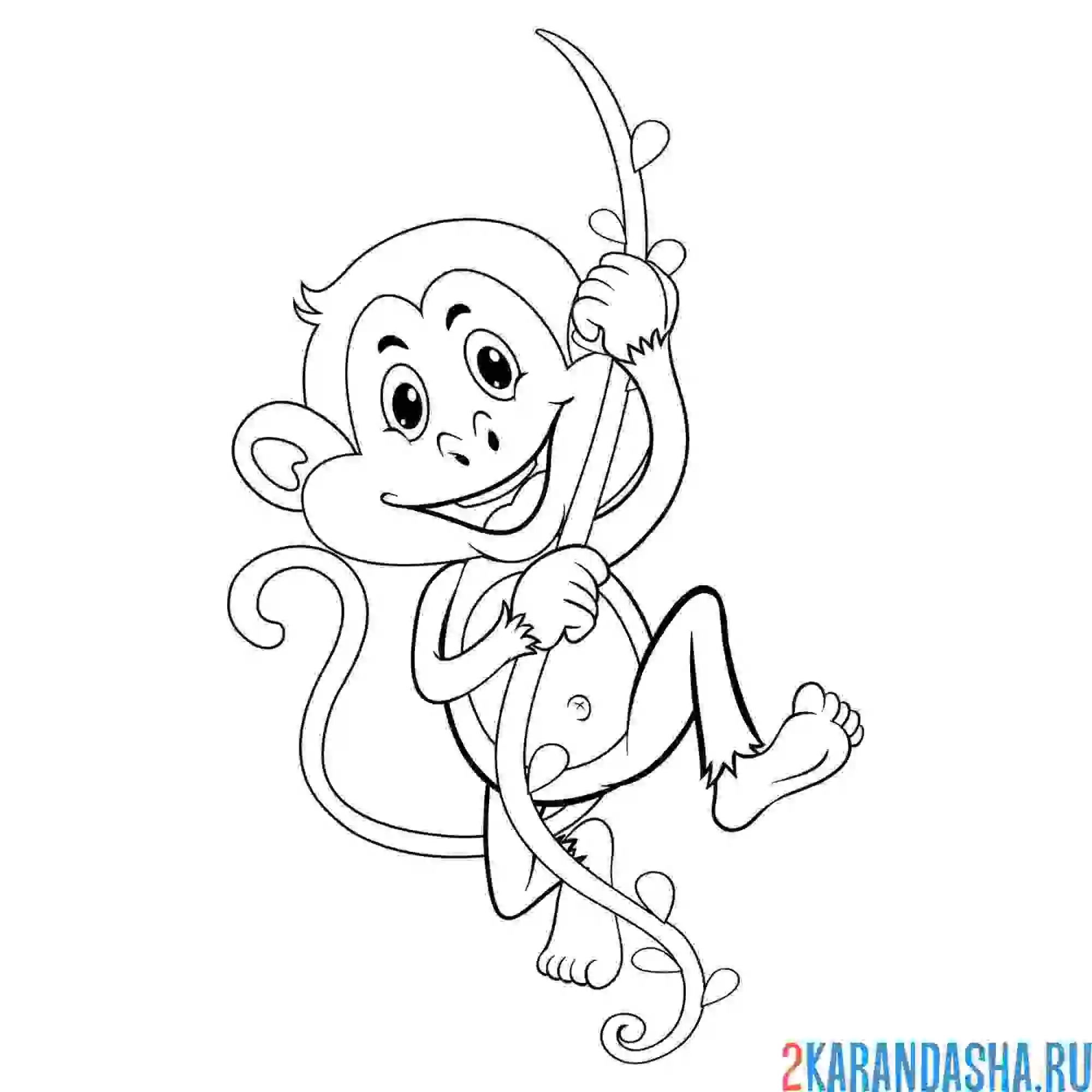Раскраска обезьяна катается на ветке