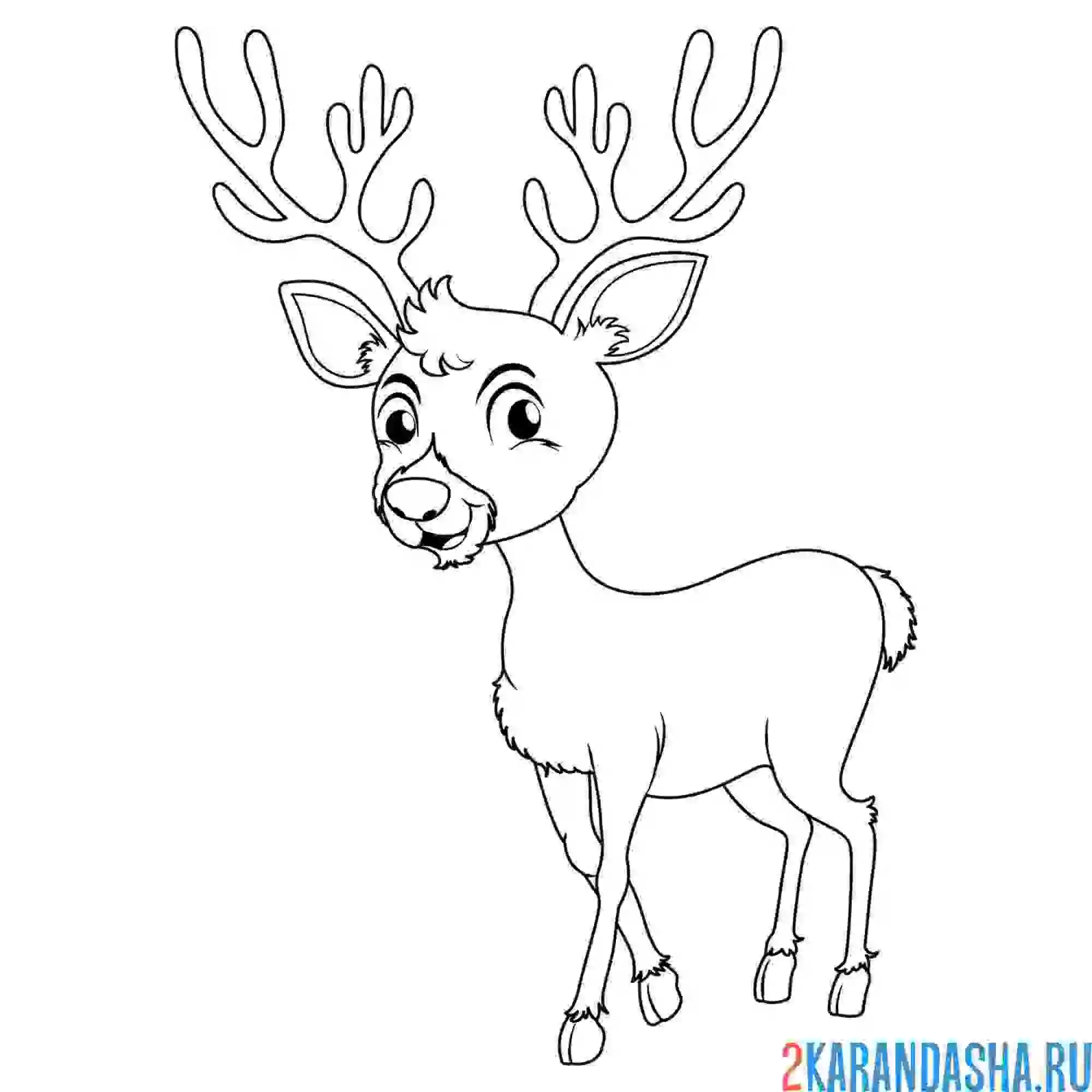 Раскраска олень с большими рогами