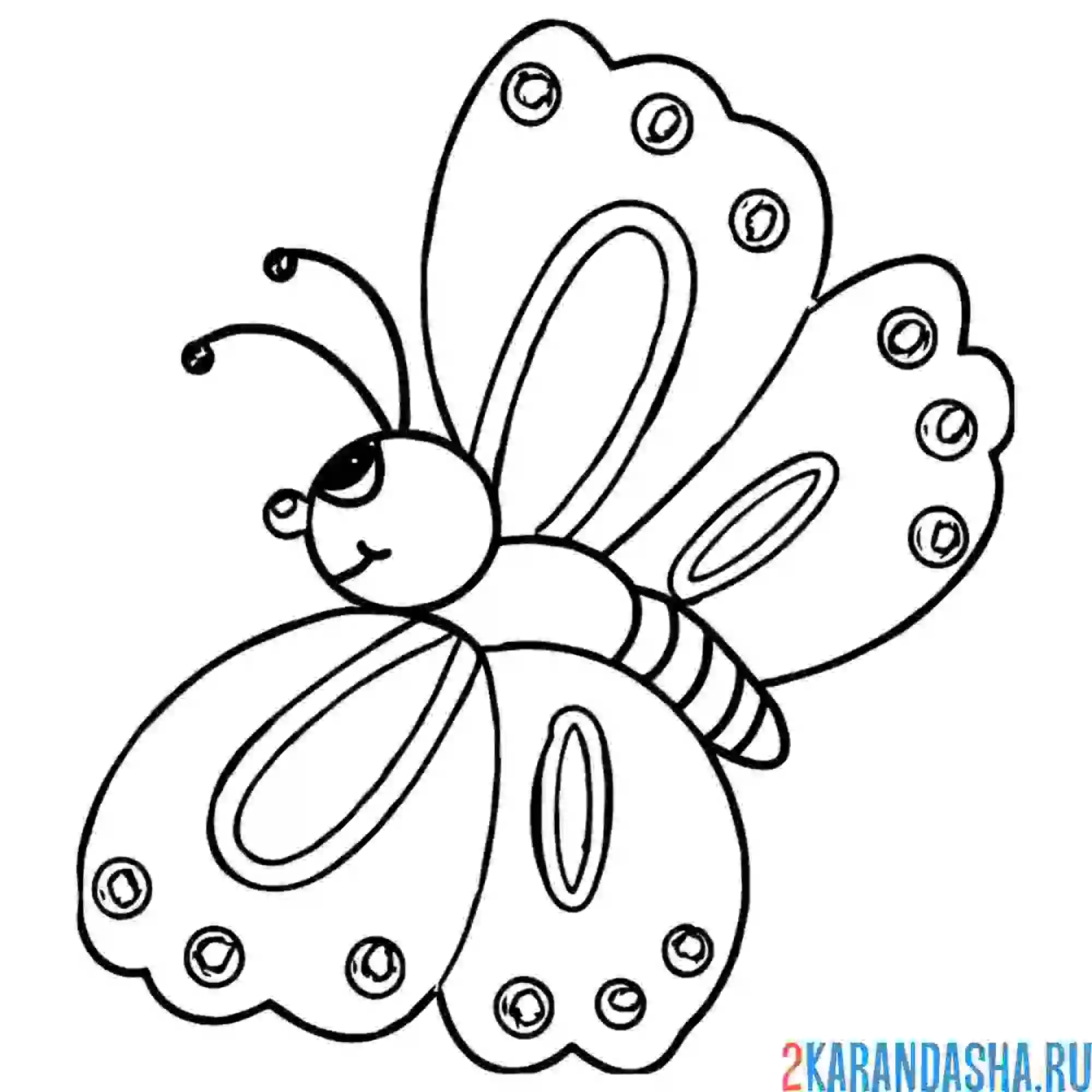 Раскраска бабочка для ребенка