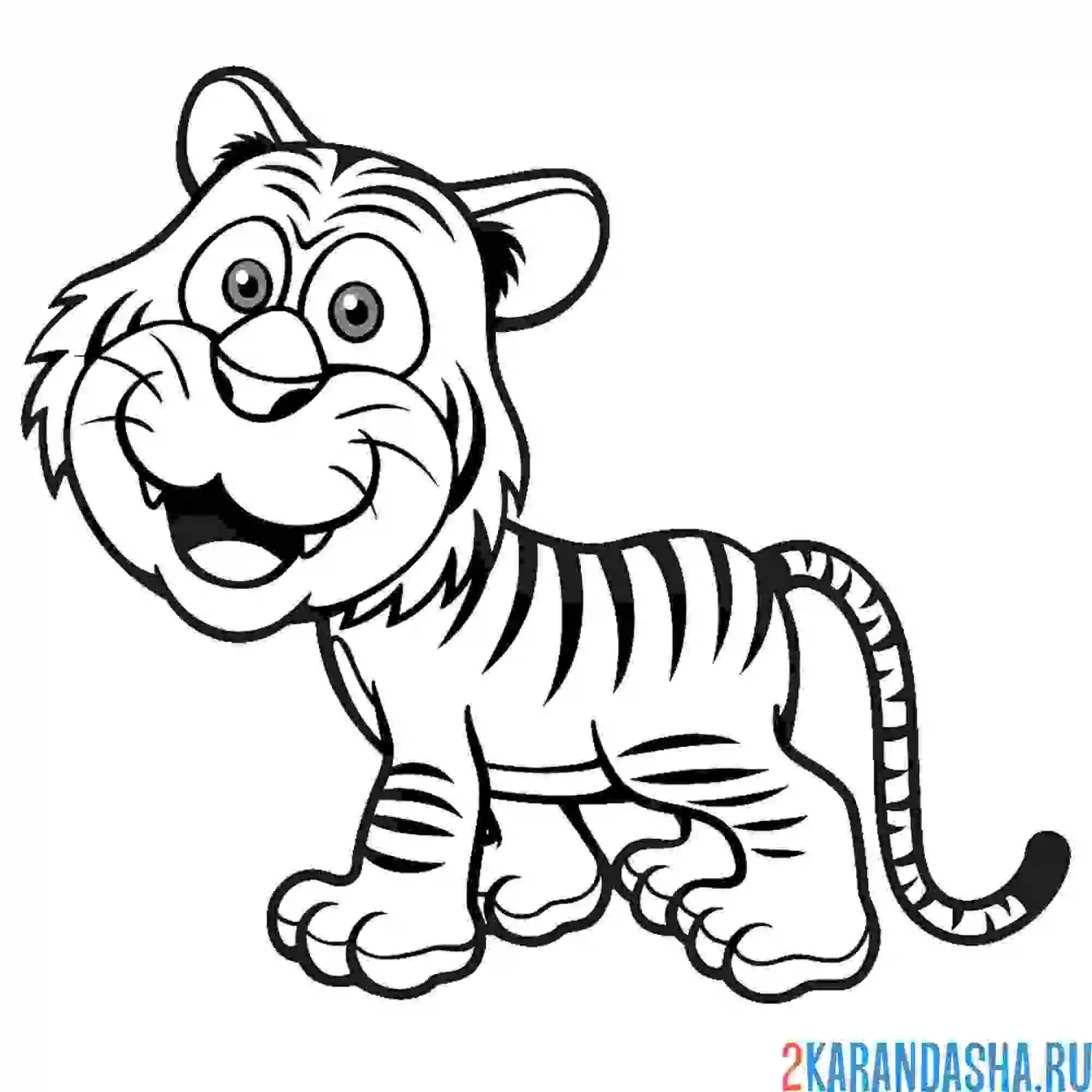 Раскраска красивый тигренок