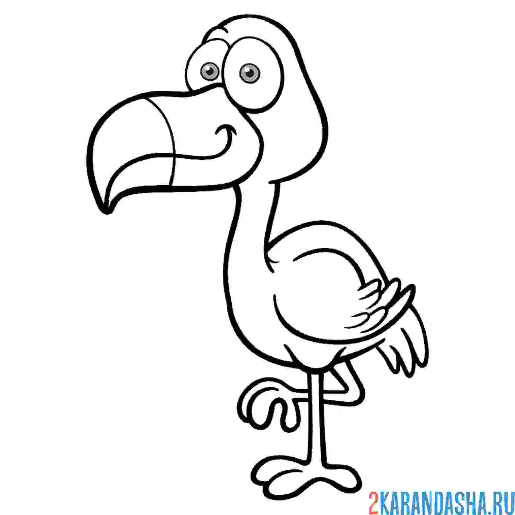 Раскраска красивый фламинго