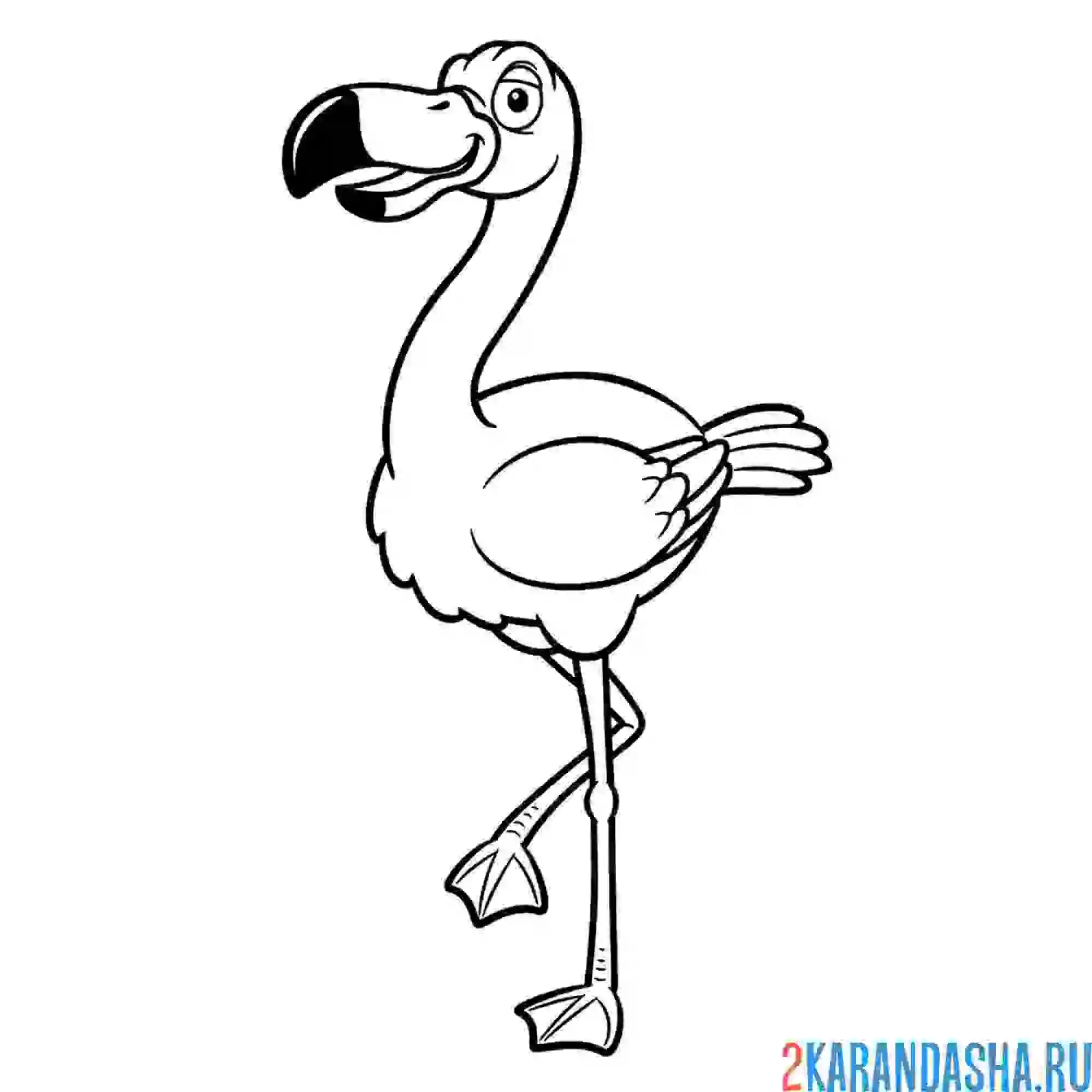Раскраска розовый фламинго
