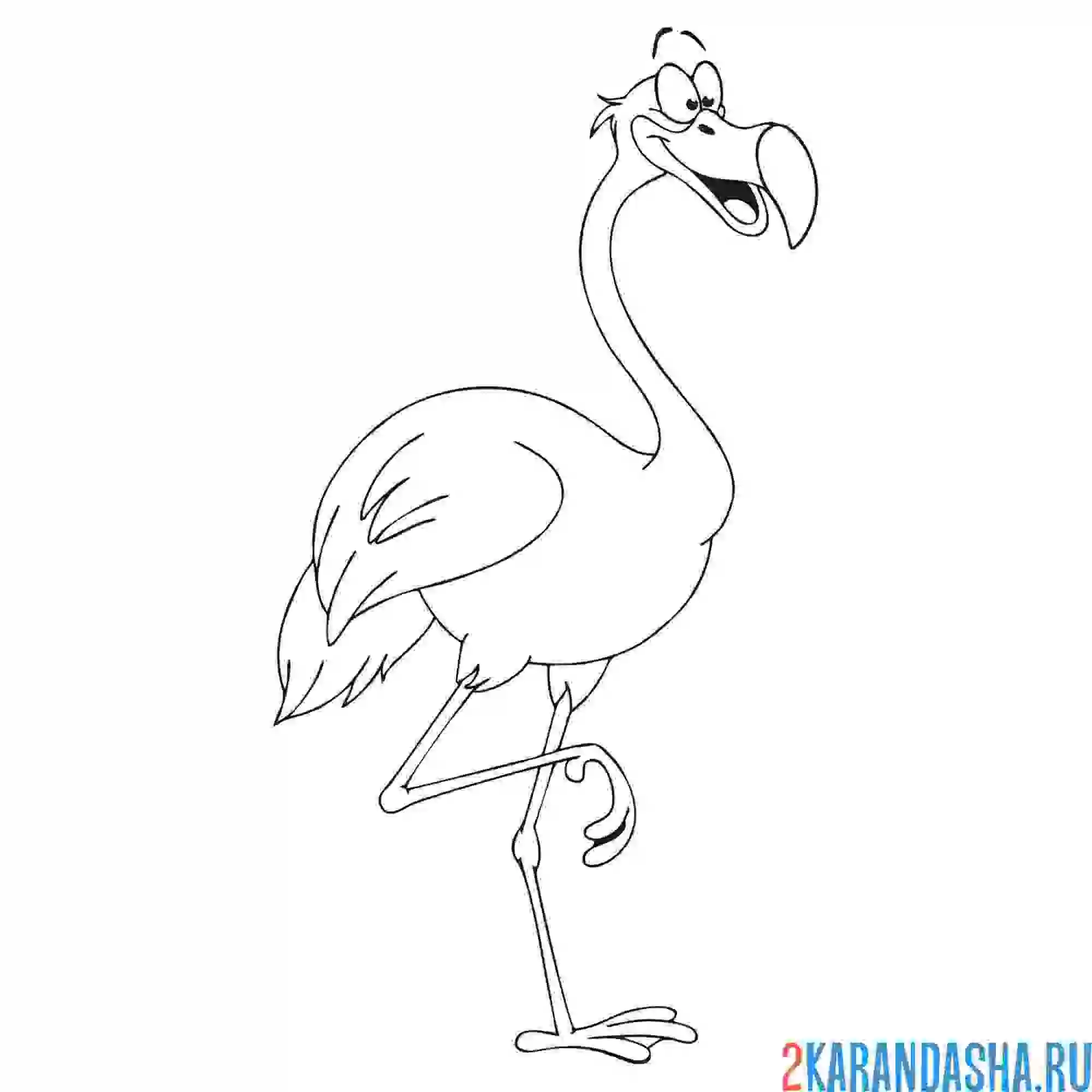 Раскраска фламинго картинка