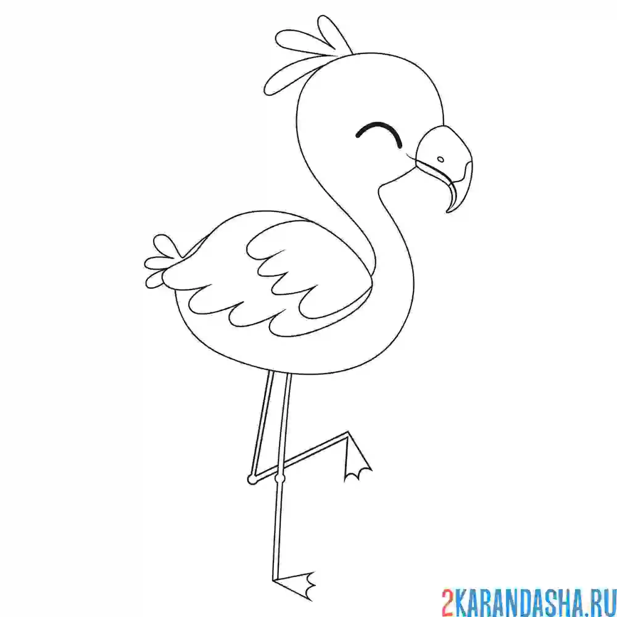 Раскраска птенец фламинго