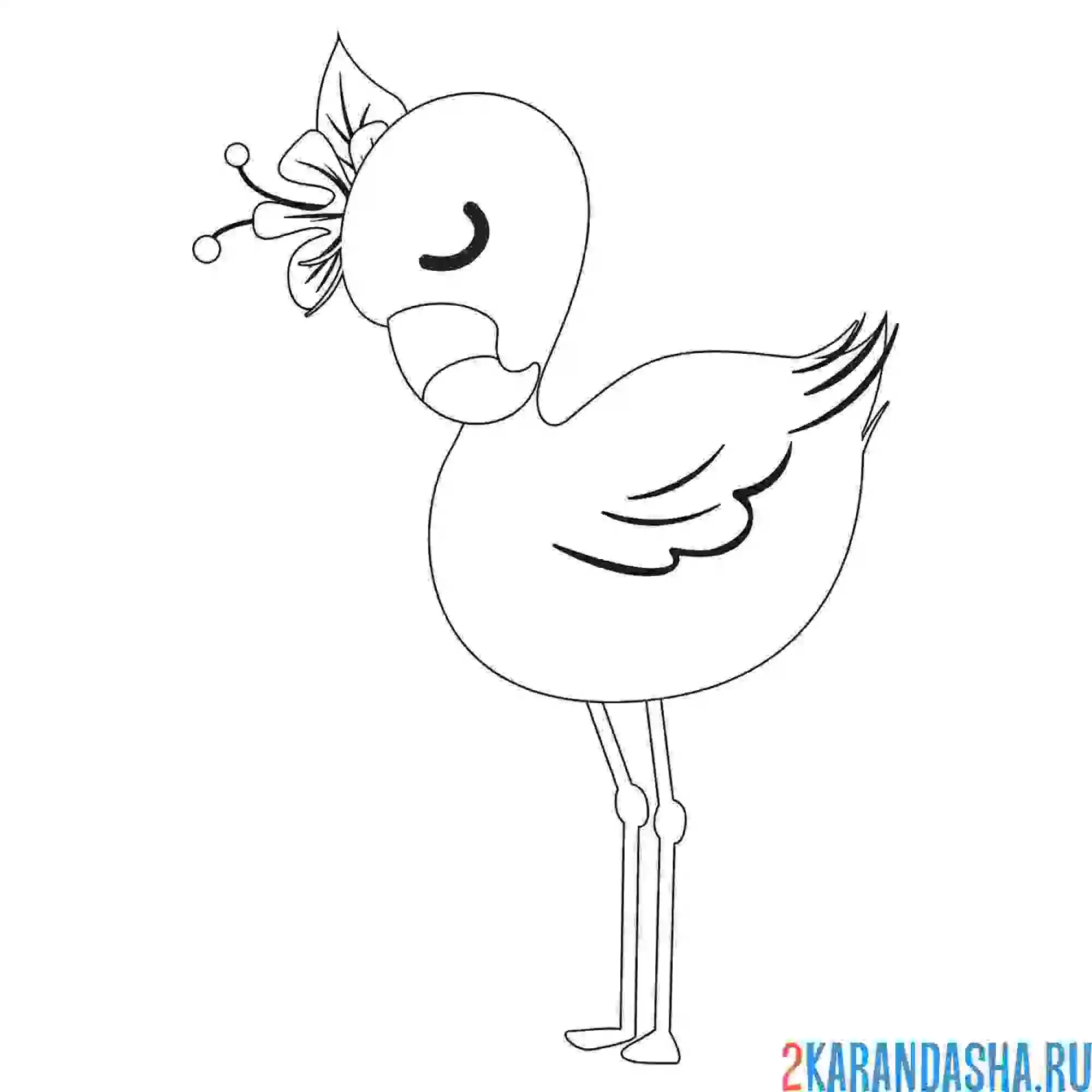 Раскраска королевский фламинго