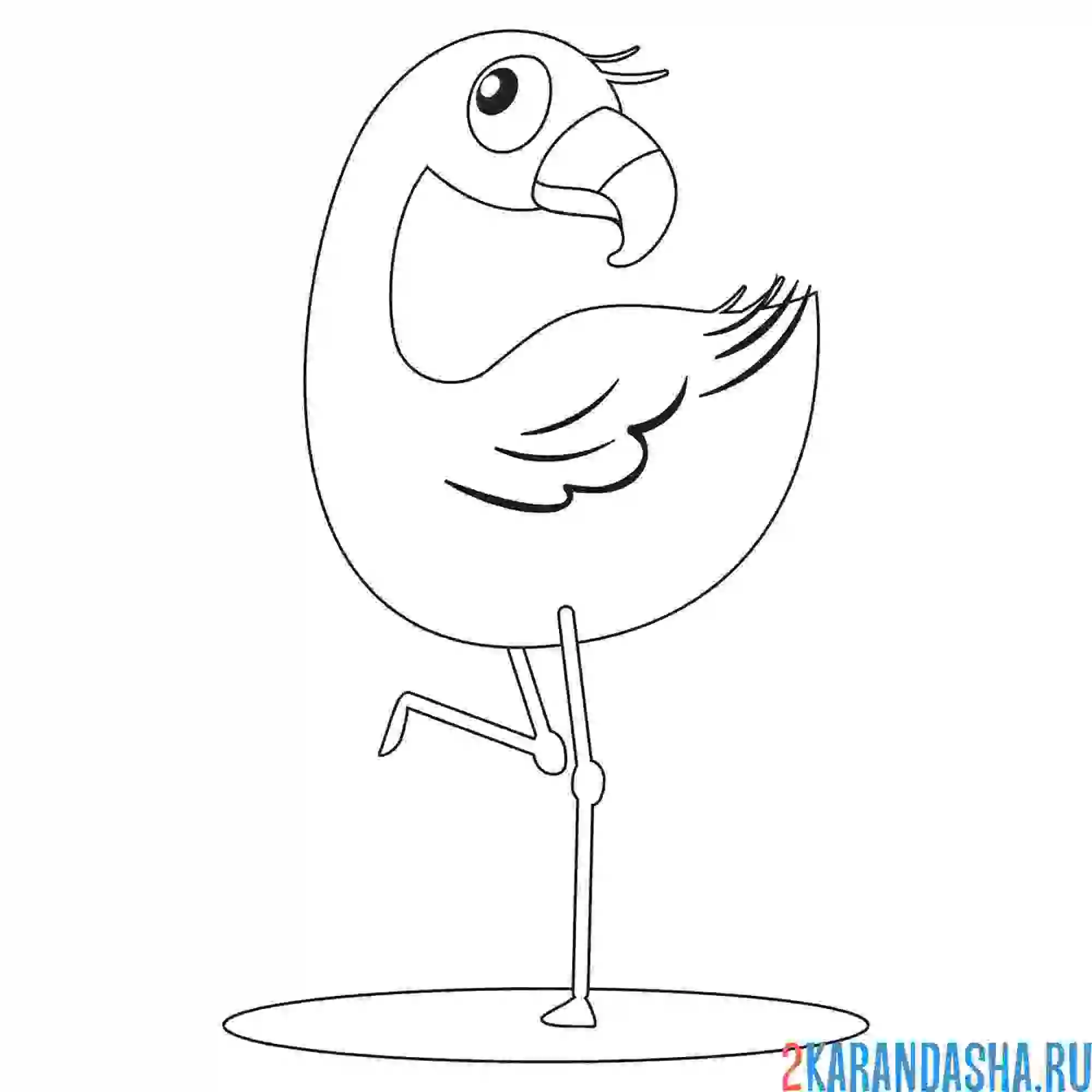 Раскраска наблюдательный фламинго