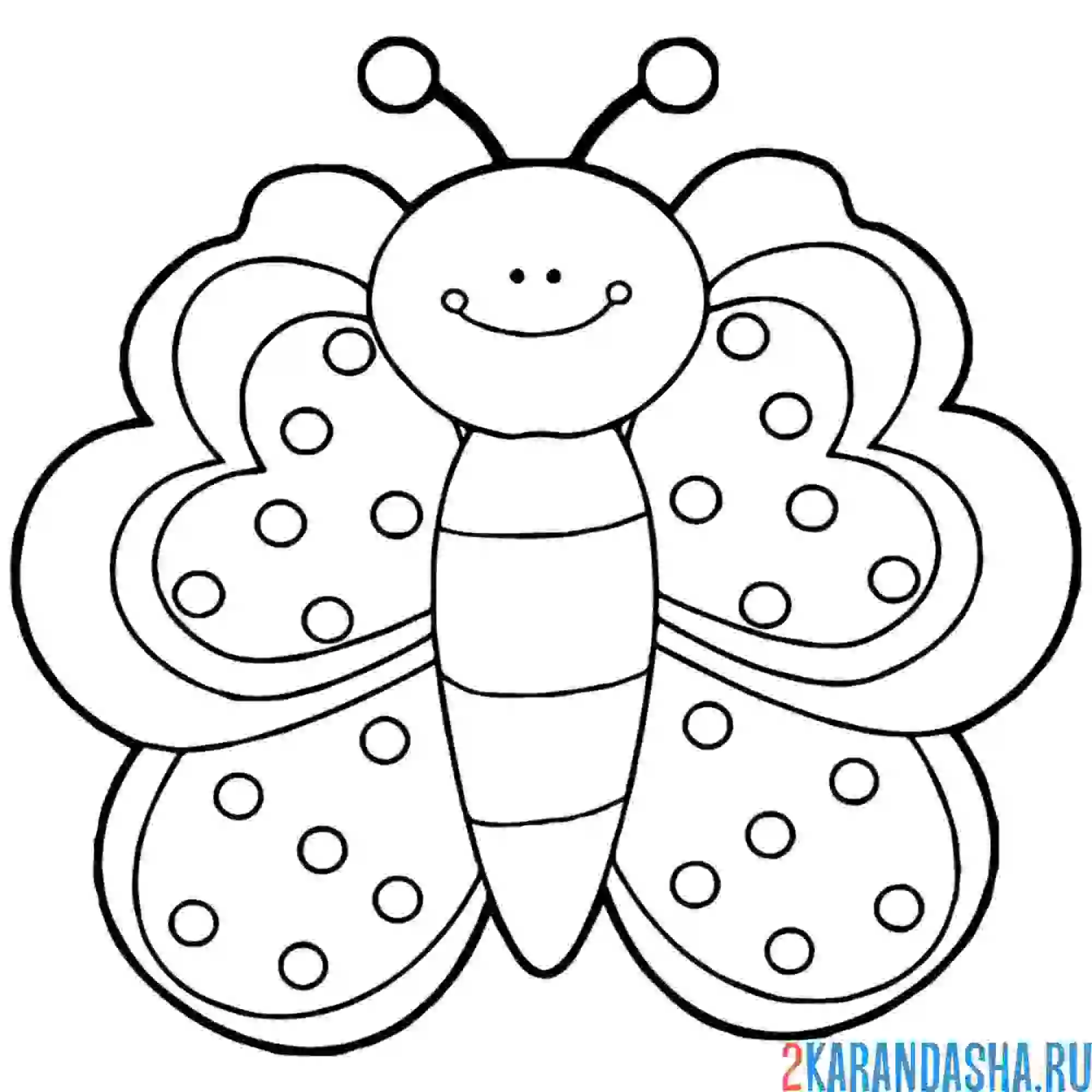 Раскраска бабочка для детишек