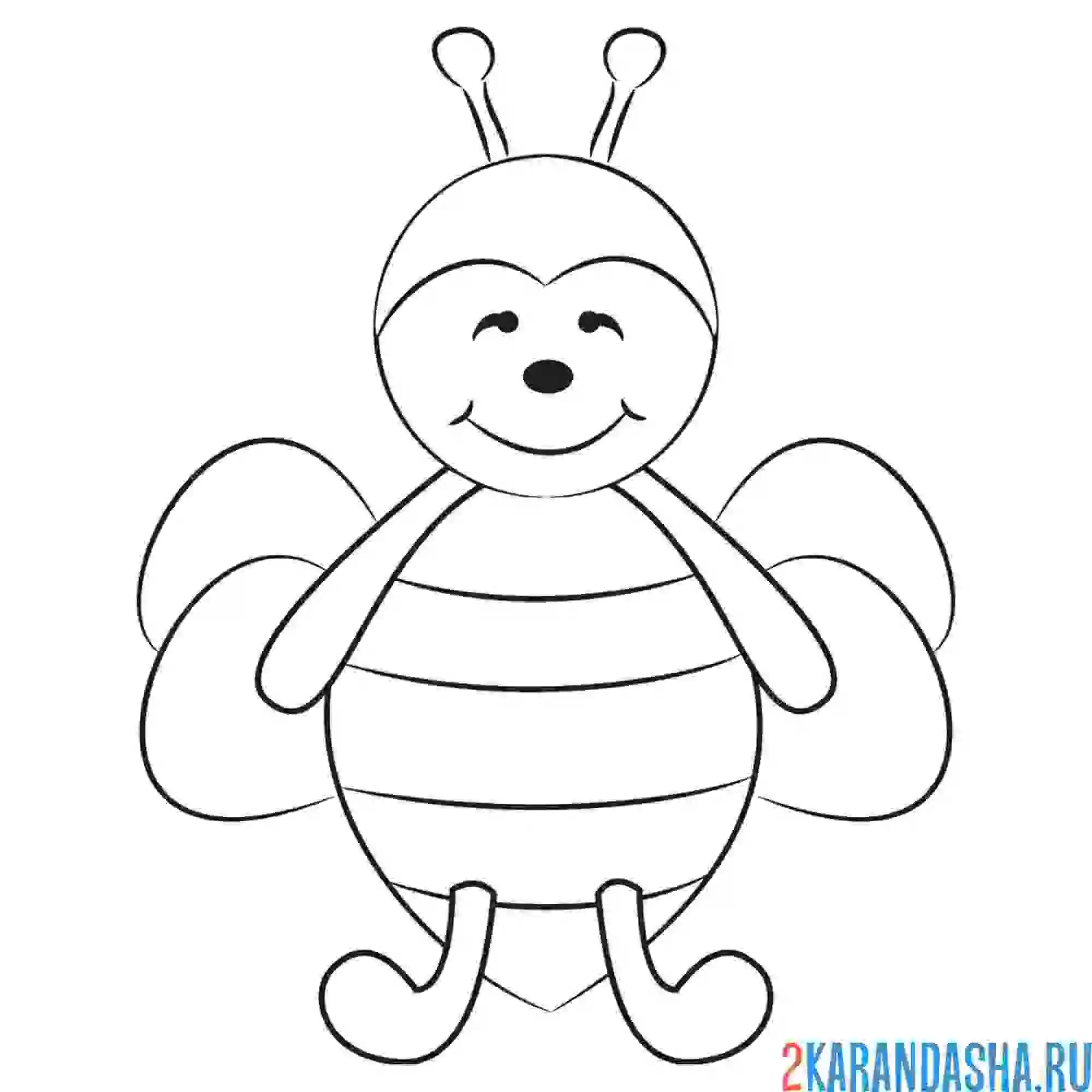 Раскраска легкая пчелка