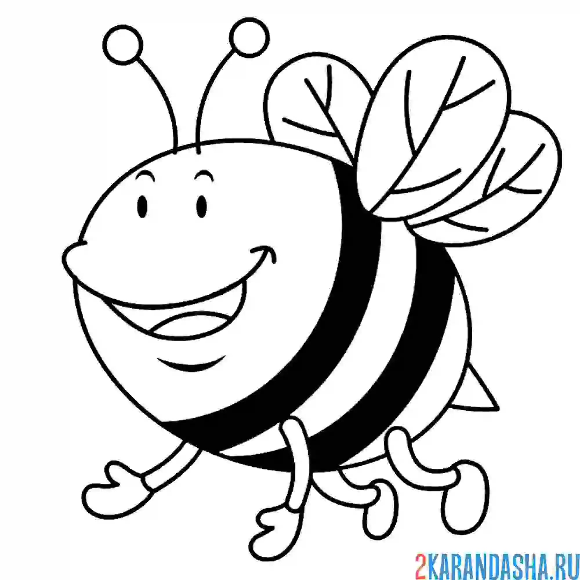 Раскраска милая пчела