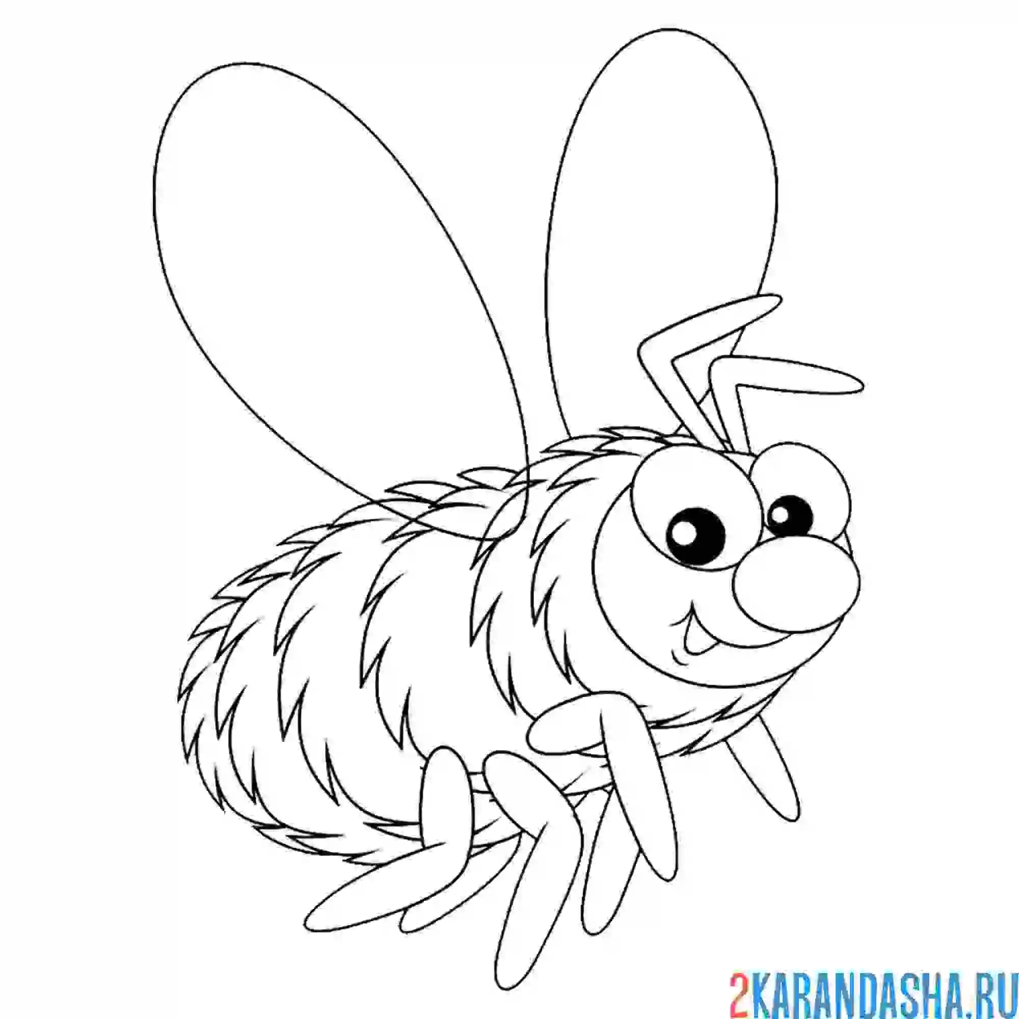 Раскраска пушистая пчелка