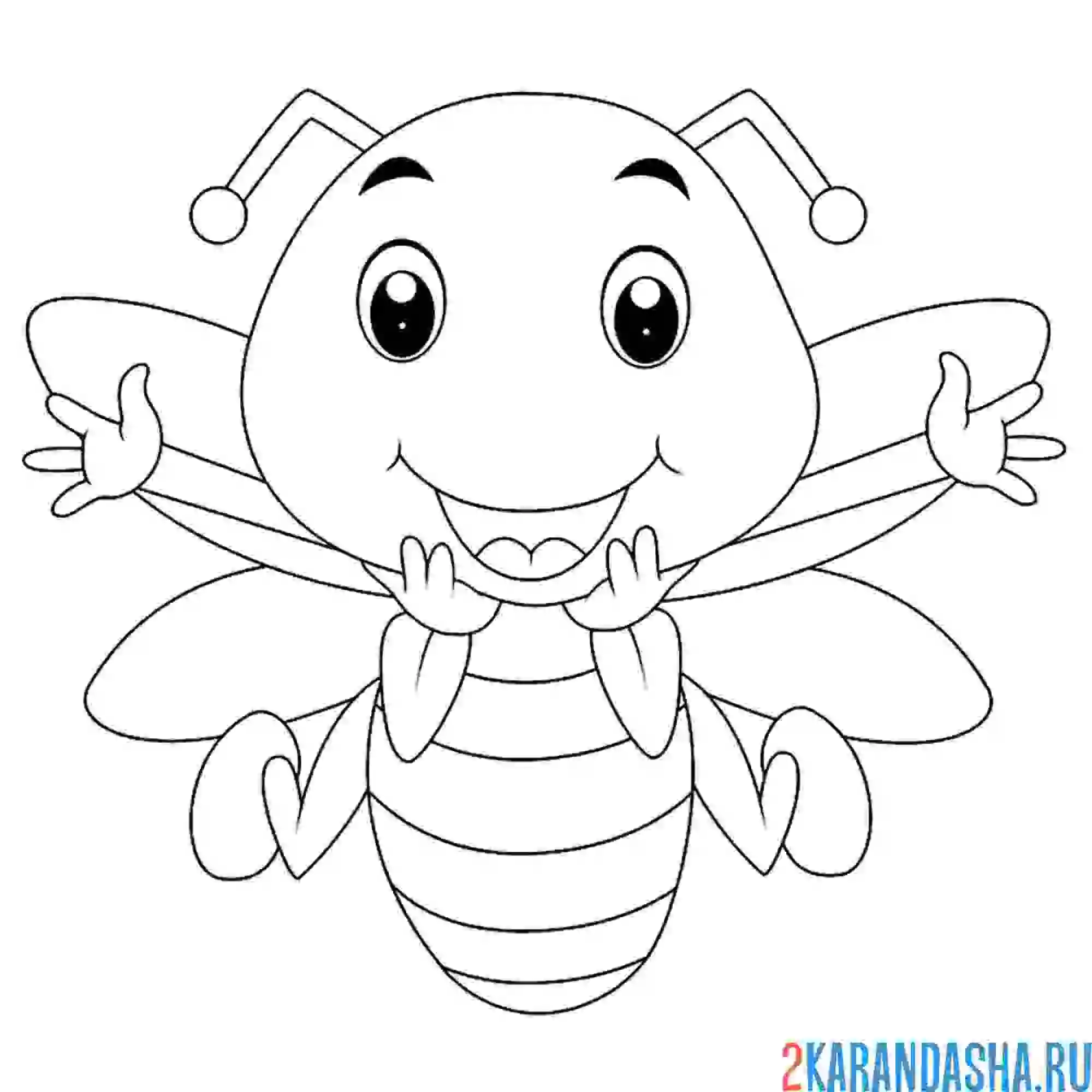 Раскраска пчелка рисунок для детей