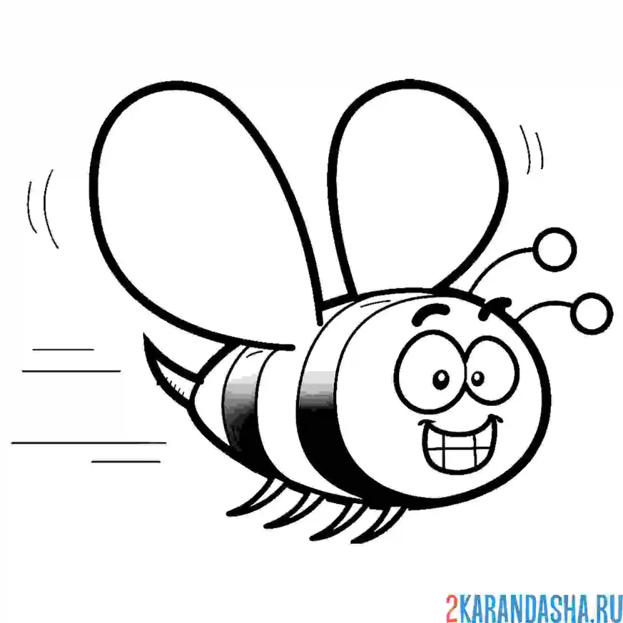 Раскраска летящая пчела