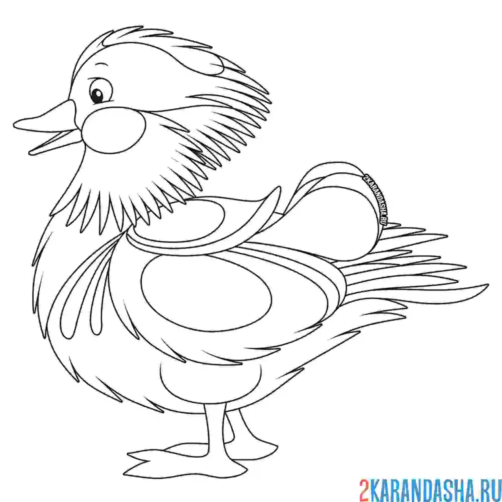 Раскраска необычная утка
