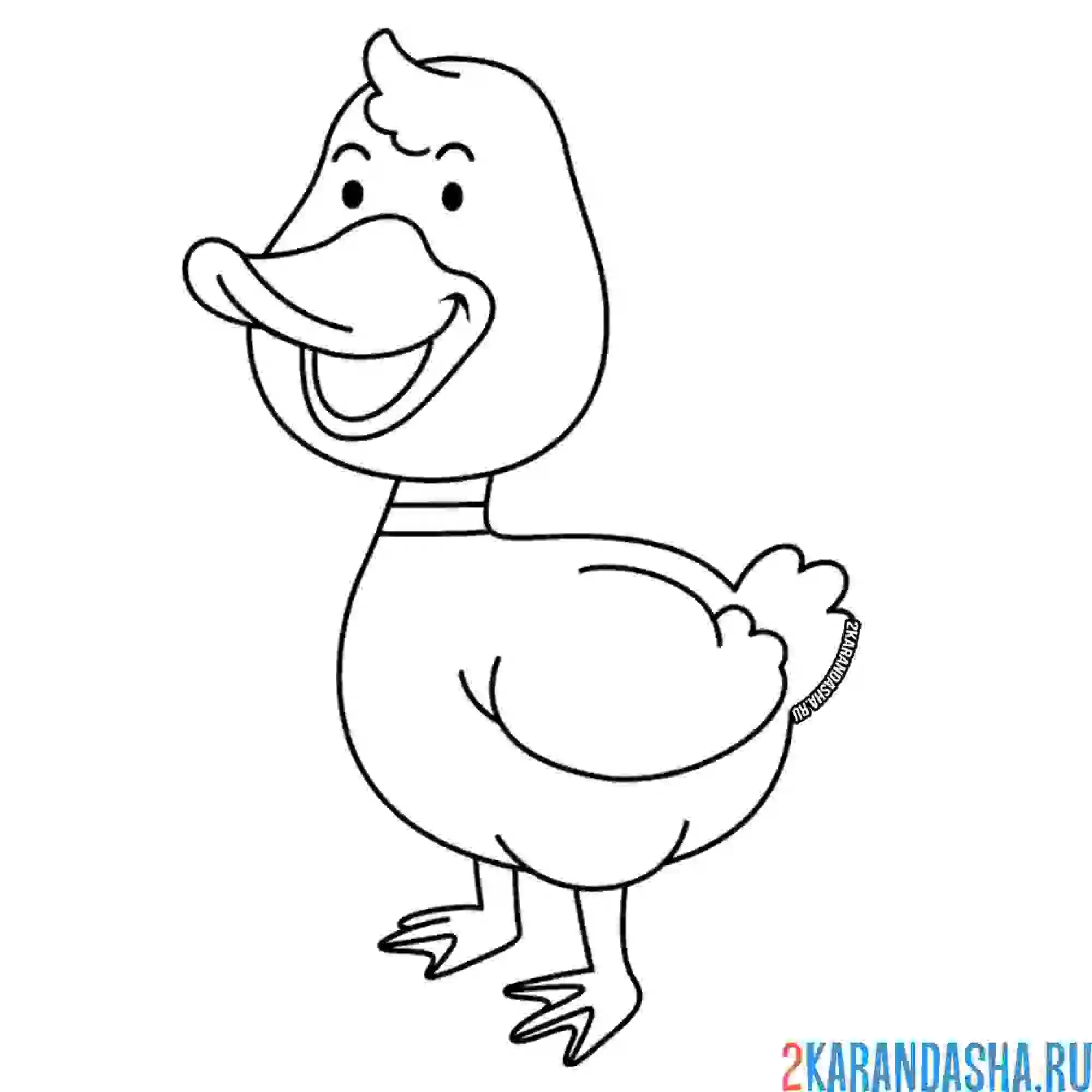 Раскраска утка смеется