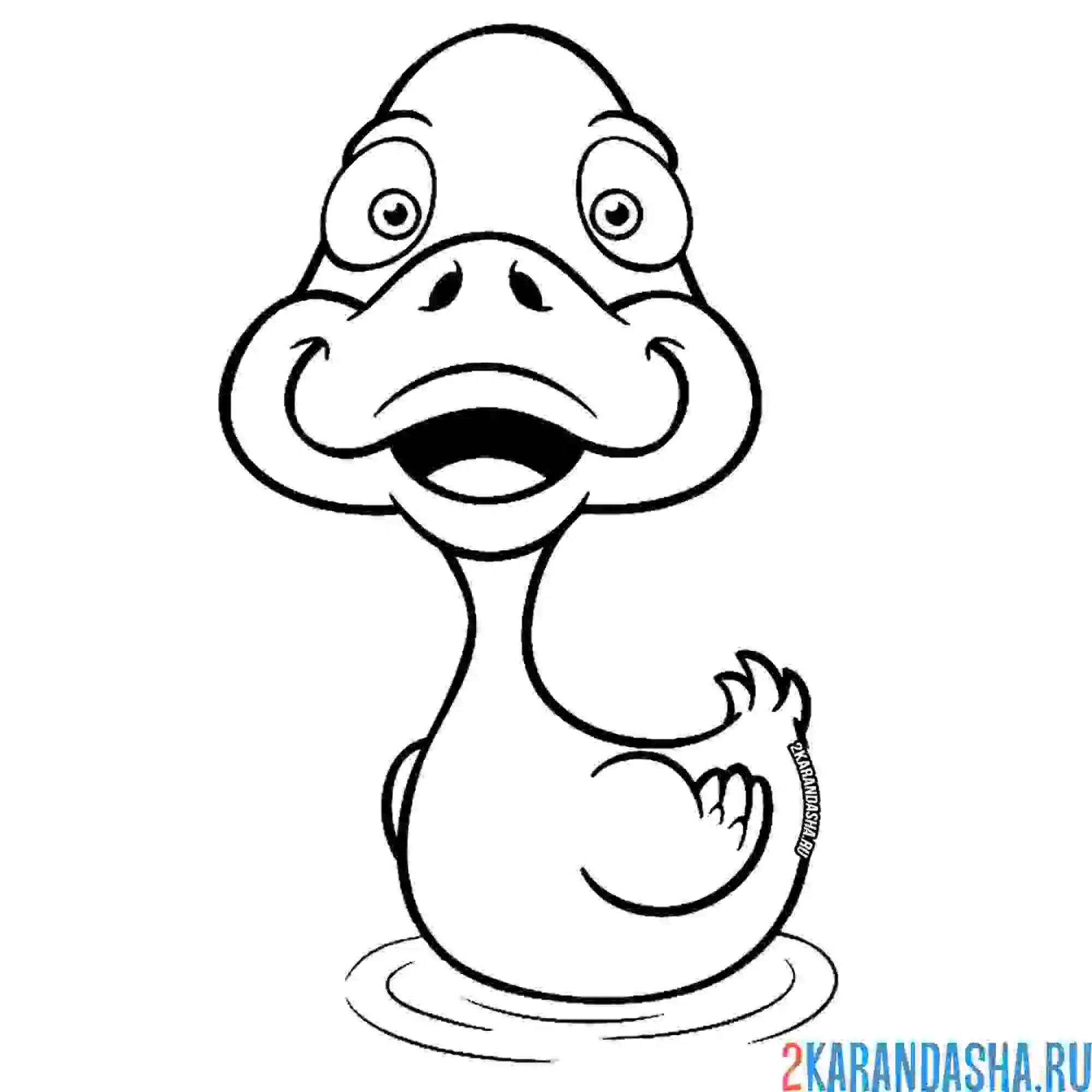 Раскраска уточка плавает