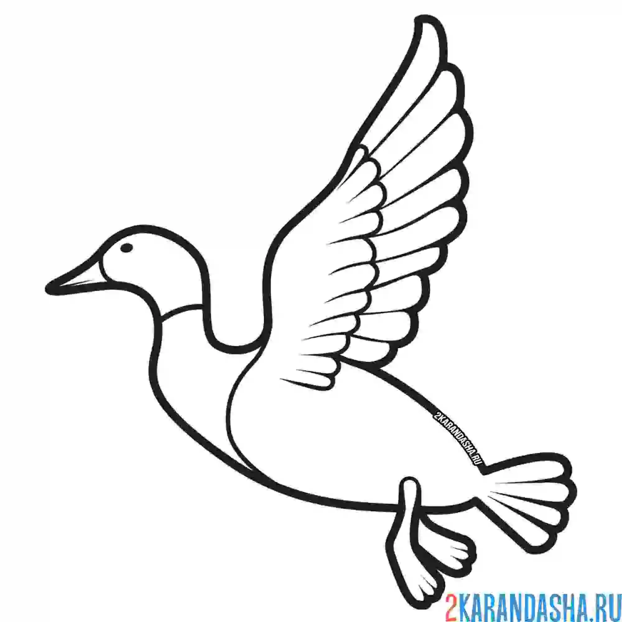 Раскраска утка летит