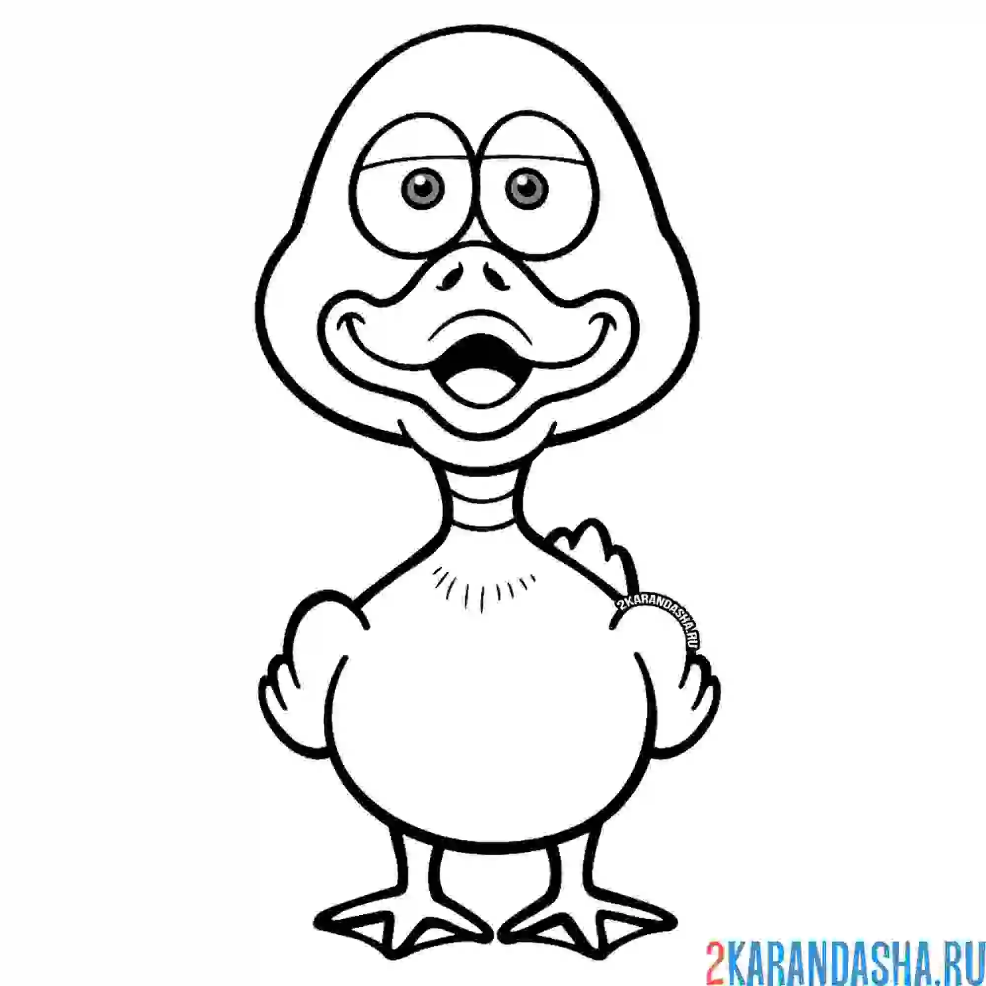 Раскраска уточка с серой шейкой