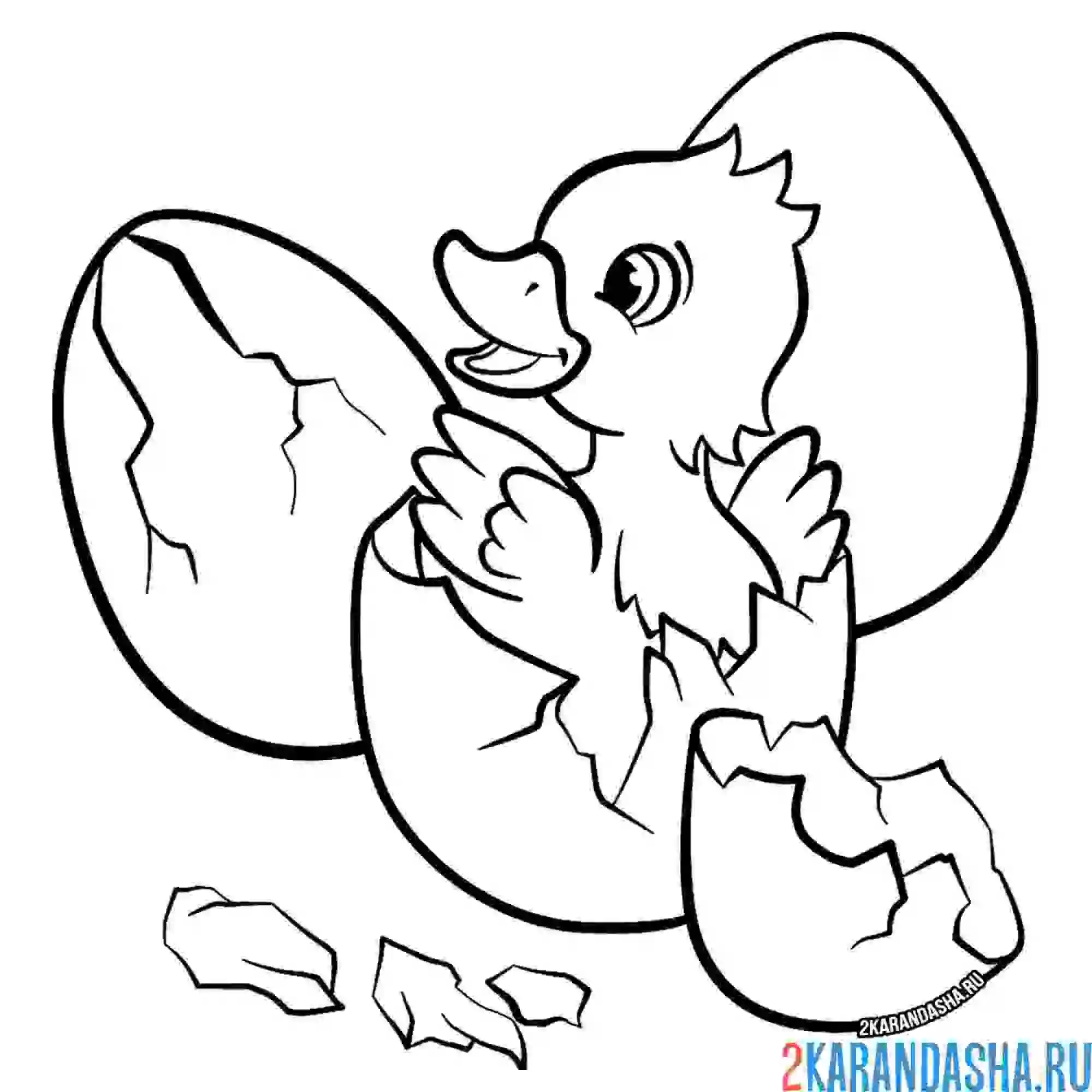 Раскраска утенок вылупился