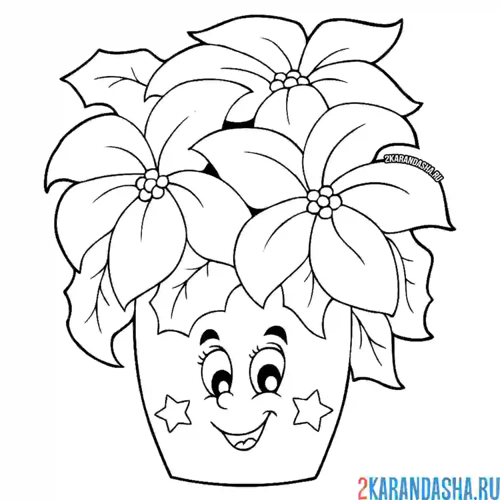 Раскраска красивый цветок в горшке