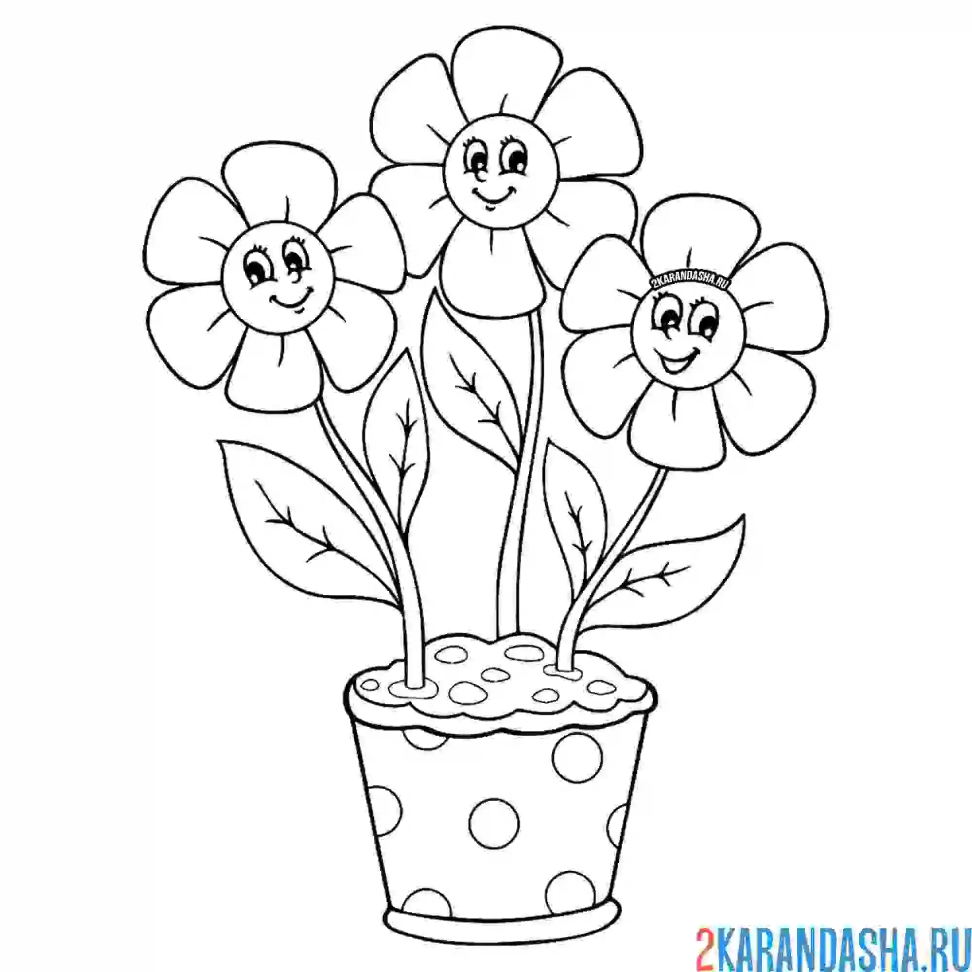 Раскраска три цветочка в горшке