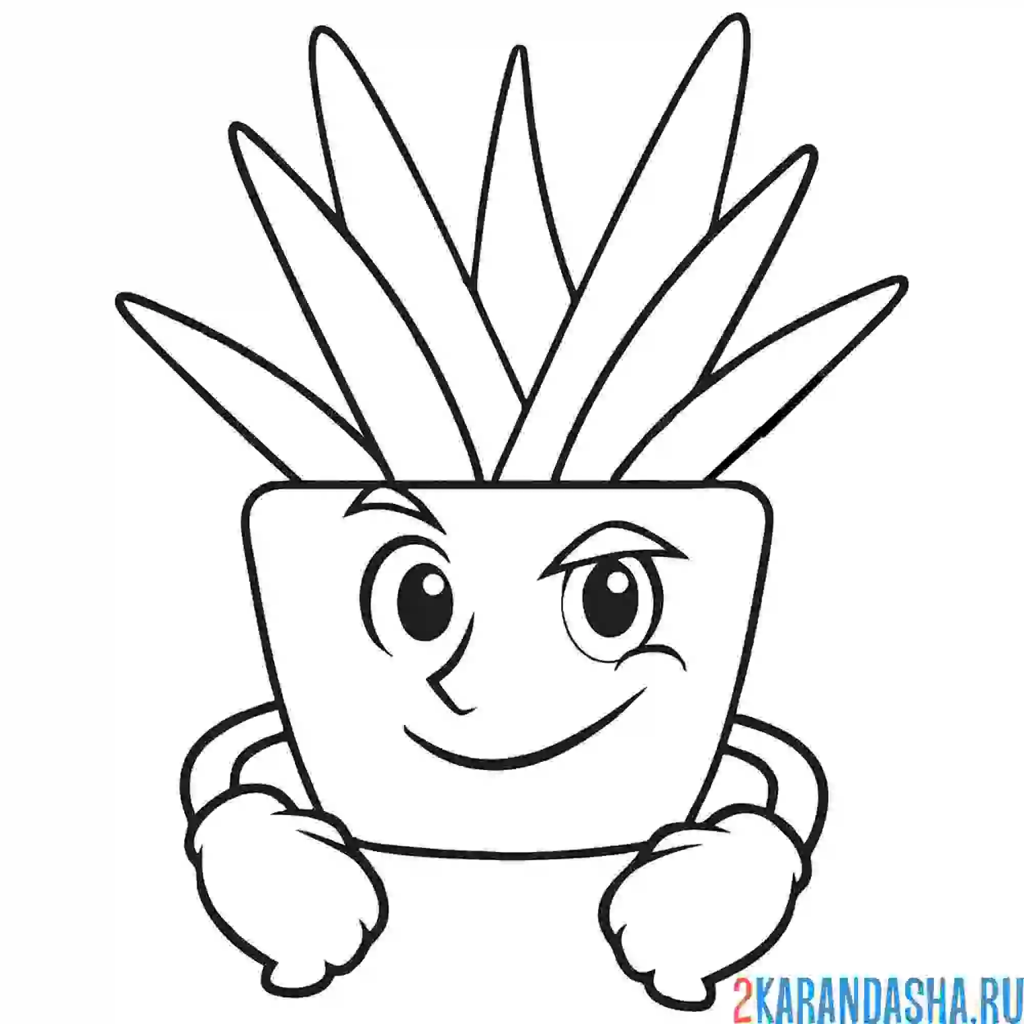 Раскраска цветок домашний в горшке